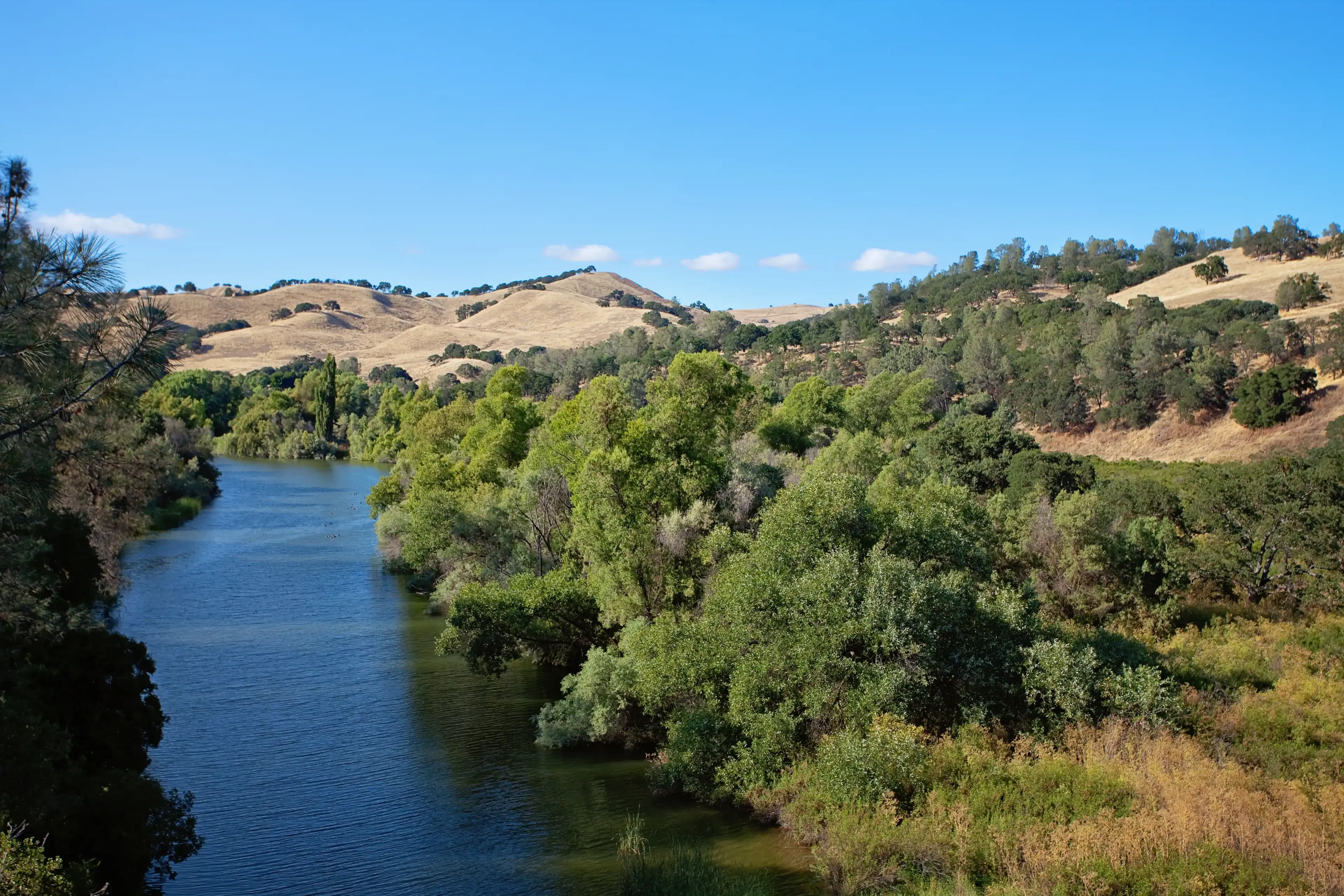 Best Livermore hotels. Cheap hotels in Livermore, California, United States Best Livermore hotels. Cheap hotels in Livermore, California, United States