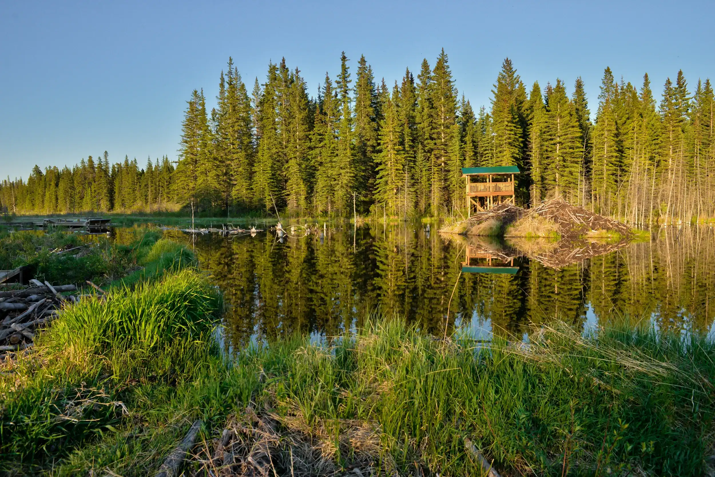 Best Hinton hotels. Cheap hotels in Hinton, Alberta, Canada Best Hinton hotels. Cheap hotels in Hinton, Alberta, Canada