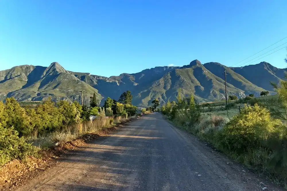 Road in Swellendam area in early morning, Langeberg mountain, Western Cape South Africa Road in Swellendam area in early morning, Langeberg mountain, Western Cape South Africa