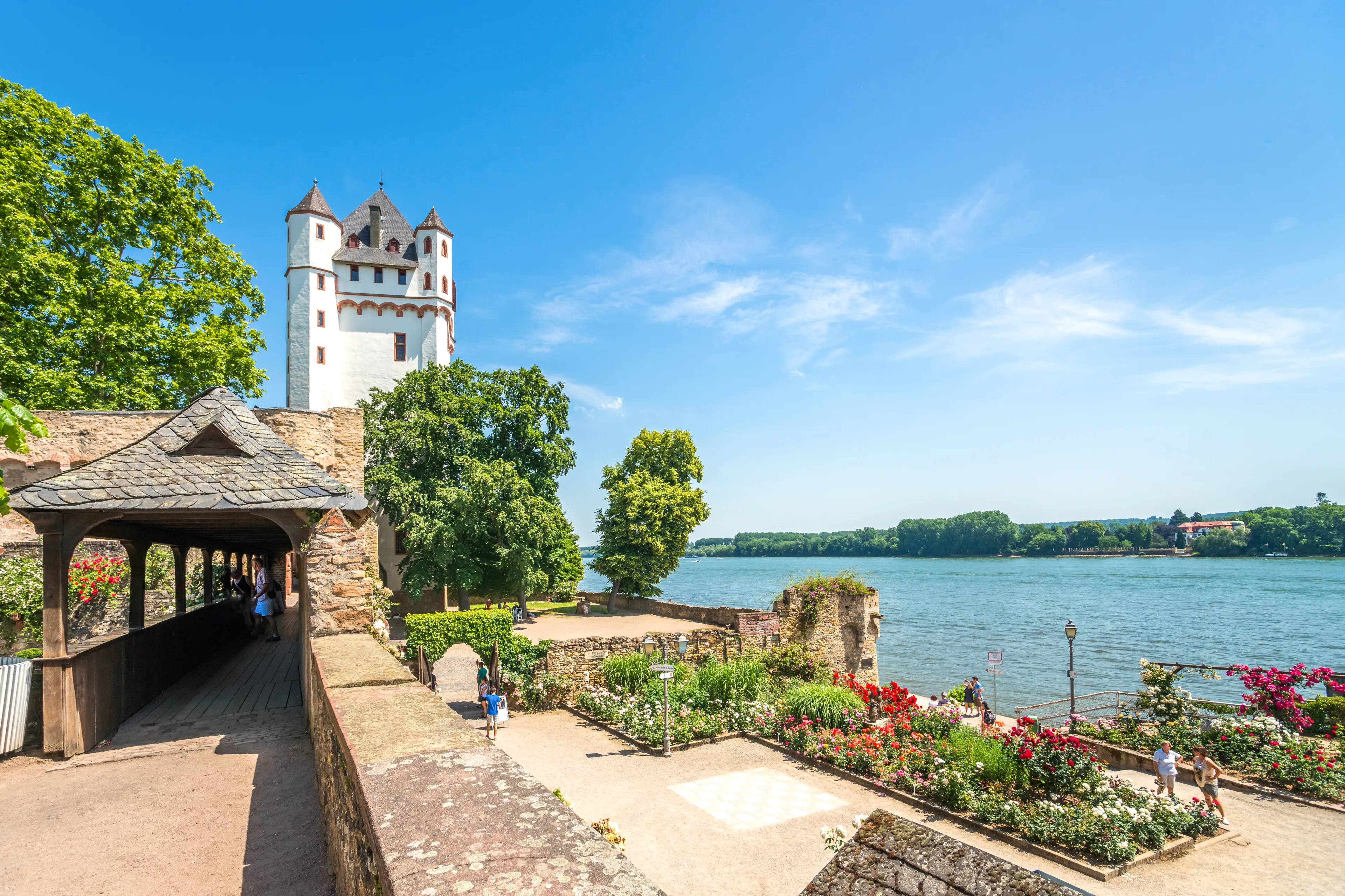 Best Eltville hotels. Cheap hotels in Eltville, Germany