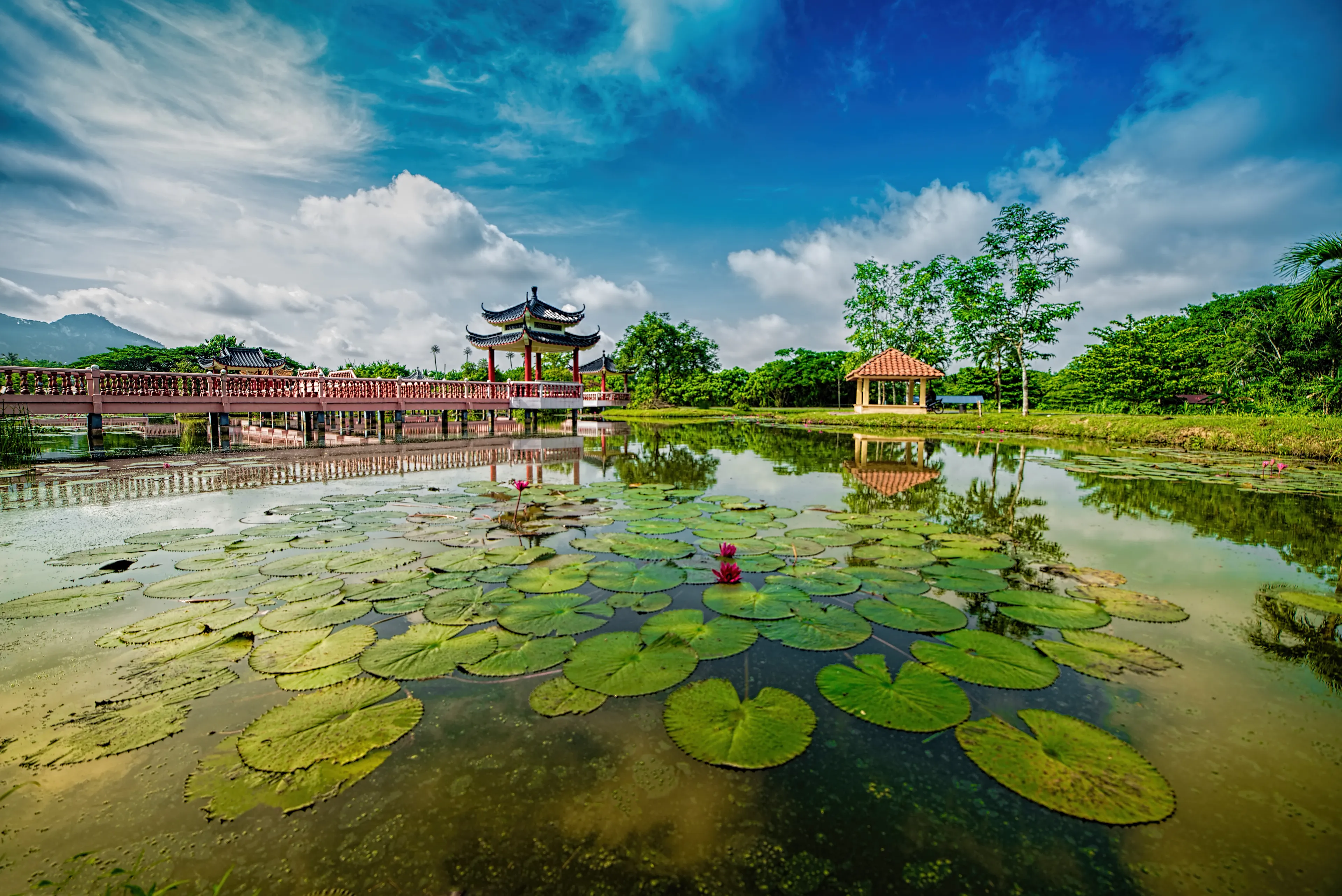 Tasik Melati or Taman Melati - one of the famous lake park in Perlis Malaysia 30 minute by road from Kangar.
