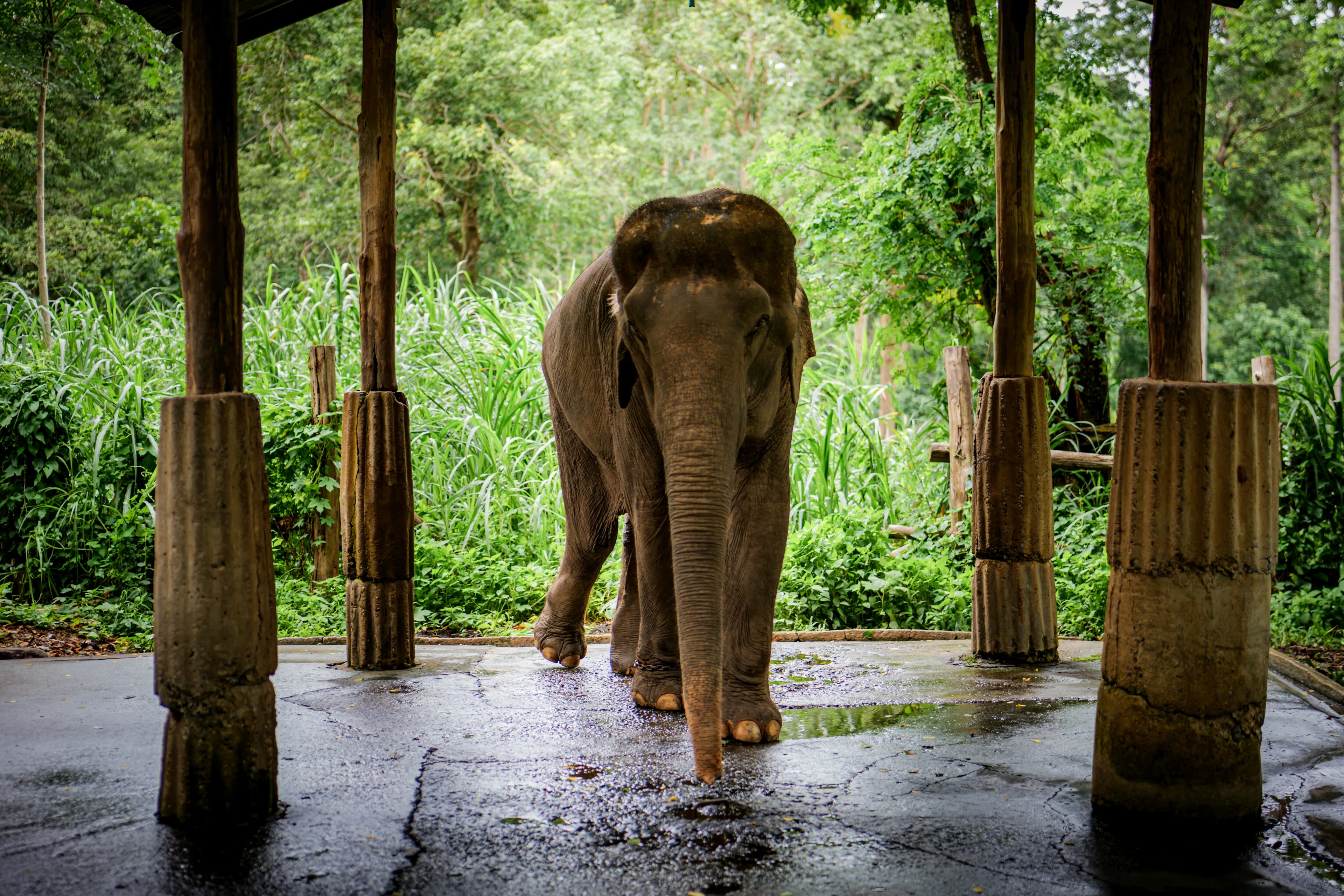 Phitsanulok hotels. Best hotels in Phitsanulok, Thailand