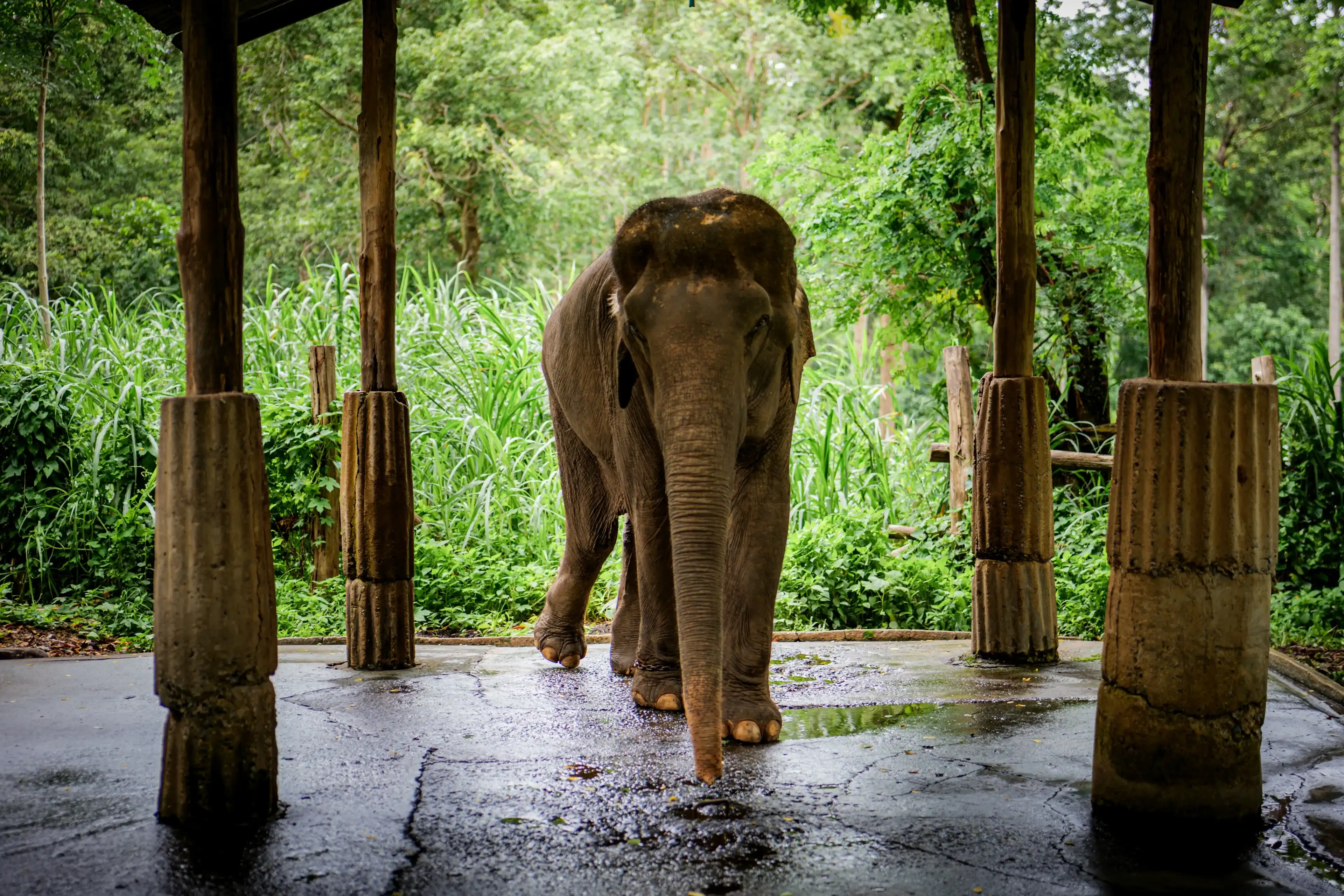 Phitsanulok hotels. Best hotels in Phitsanulok, Thailand Phitsanulok hotels. Best hotels in Phitsanulok, Thailand