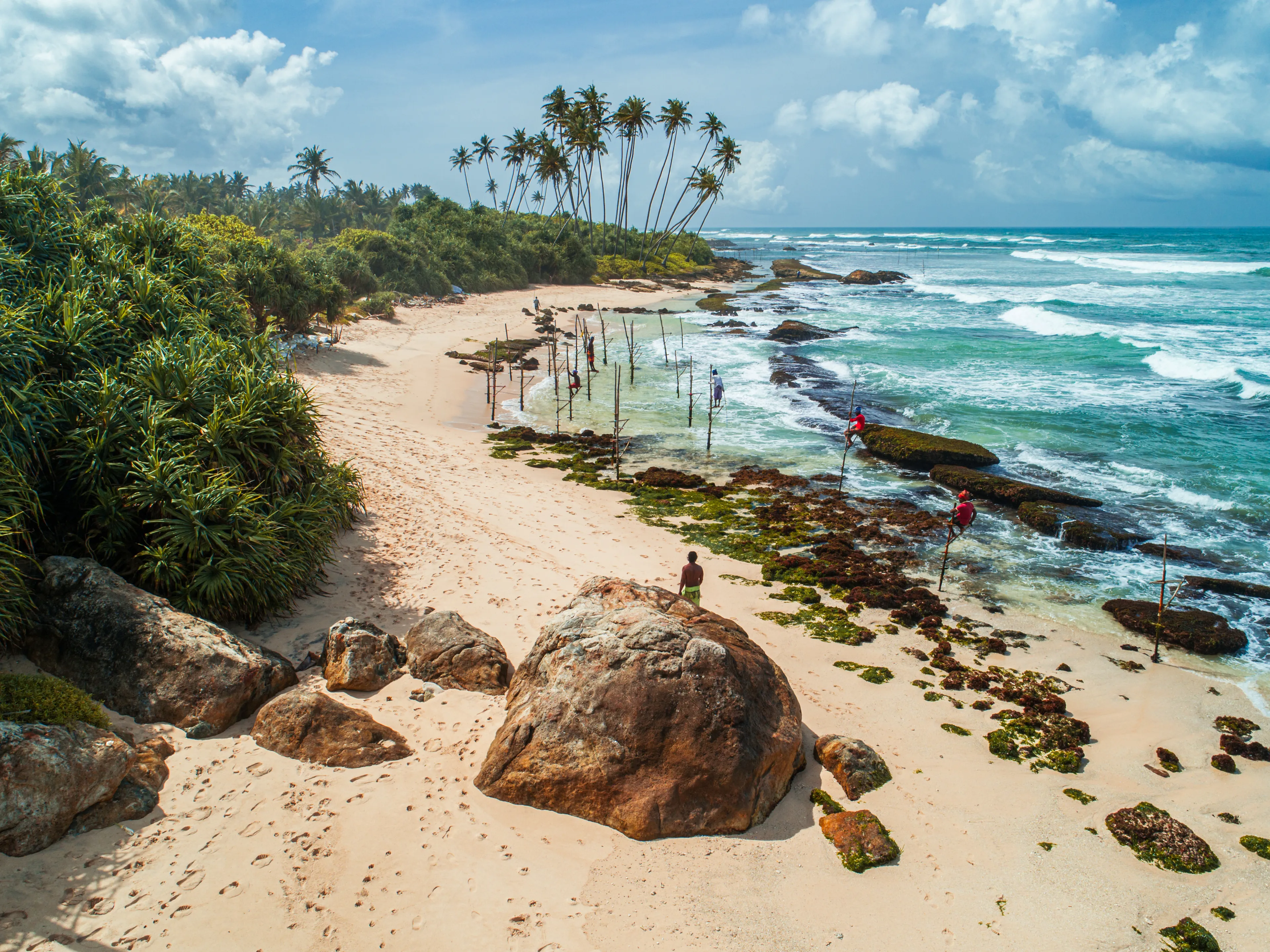 Stilt Fisherman in Koggala Sri Lanka 