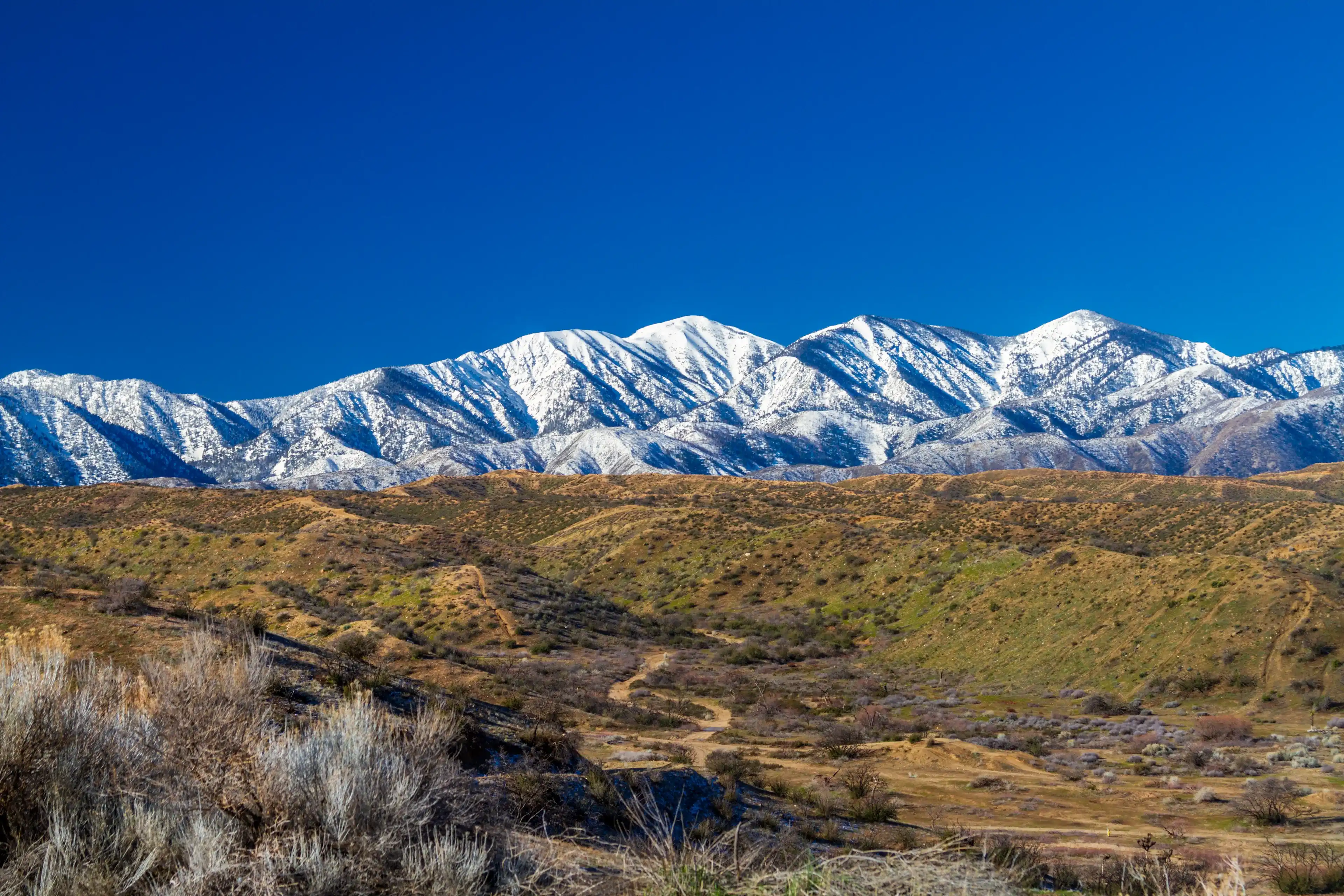 Snow on the northern side of the San Gabriel Mountains in the Angeles National Forset in Southern California Snow on the northern side of the San Gabriel Mountains in the Angeles National Forset in Southern California