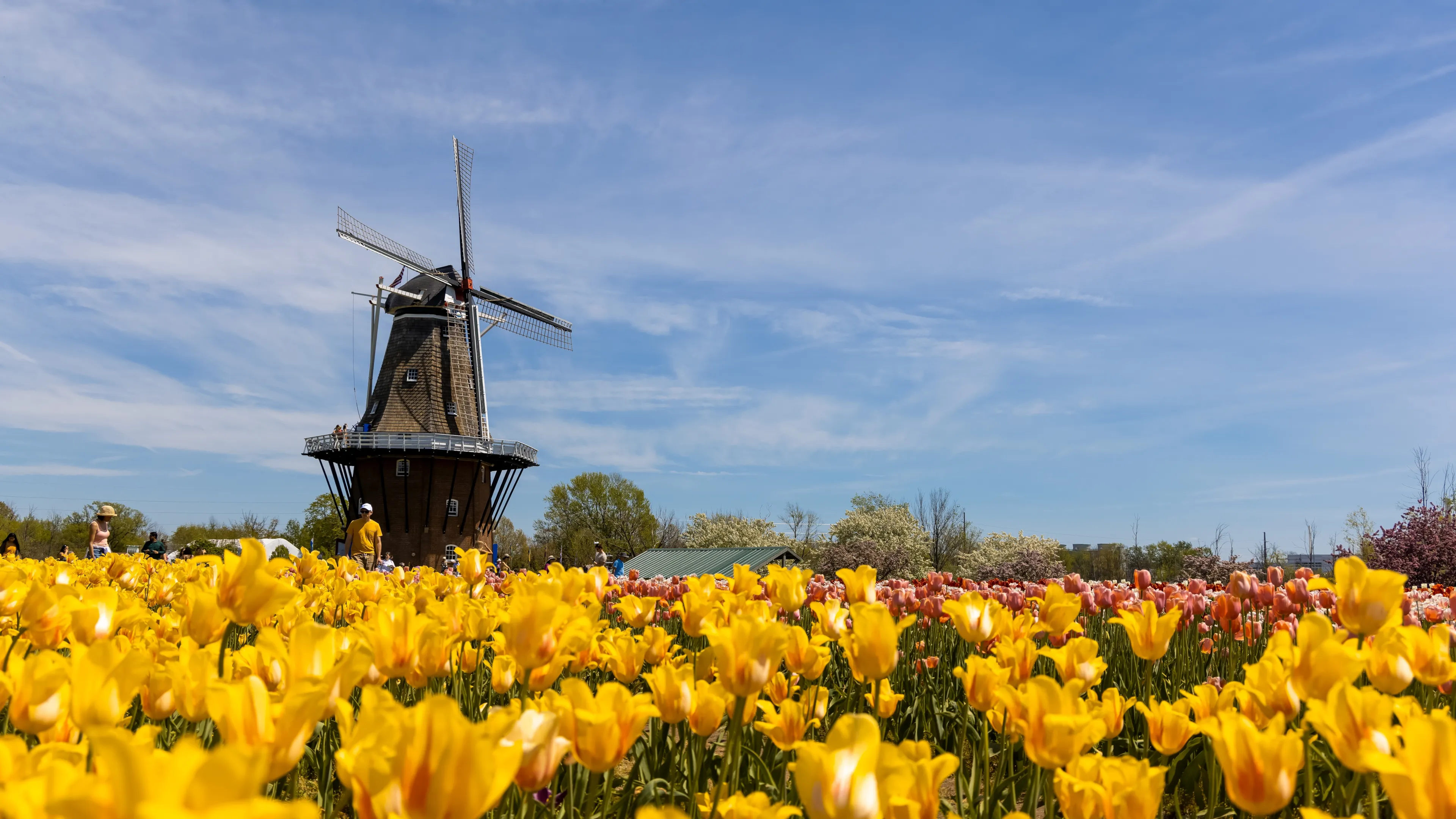 Best Holland hotels. Cheap hotels in Holland, Michigan, United States