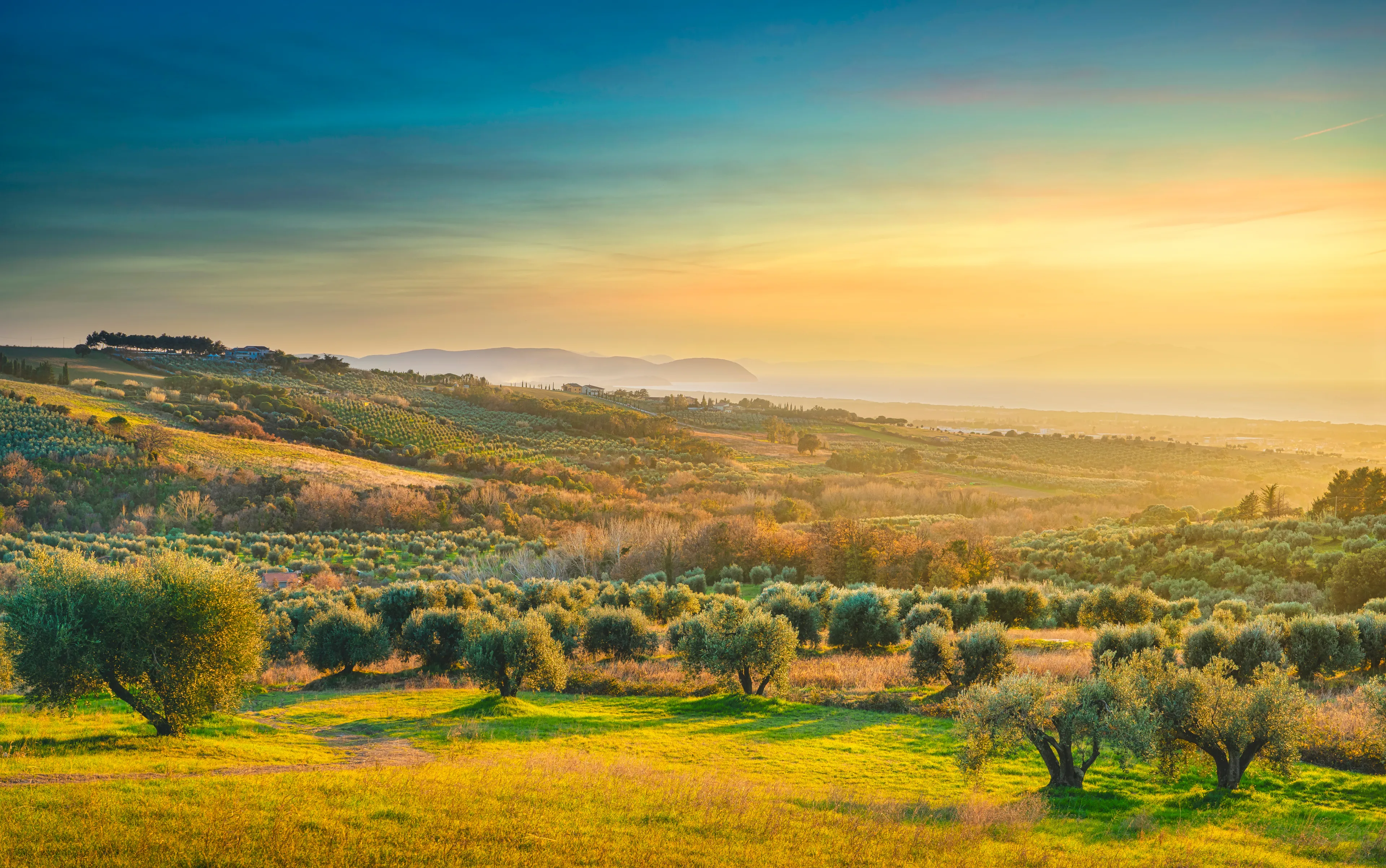 Maremma sunset panorama. Countryside, sea and Elba island on horizon. San Vincenzo, Tuscany, Italy.