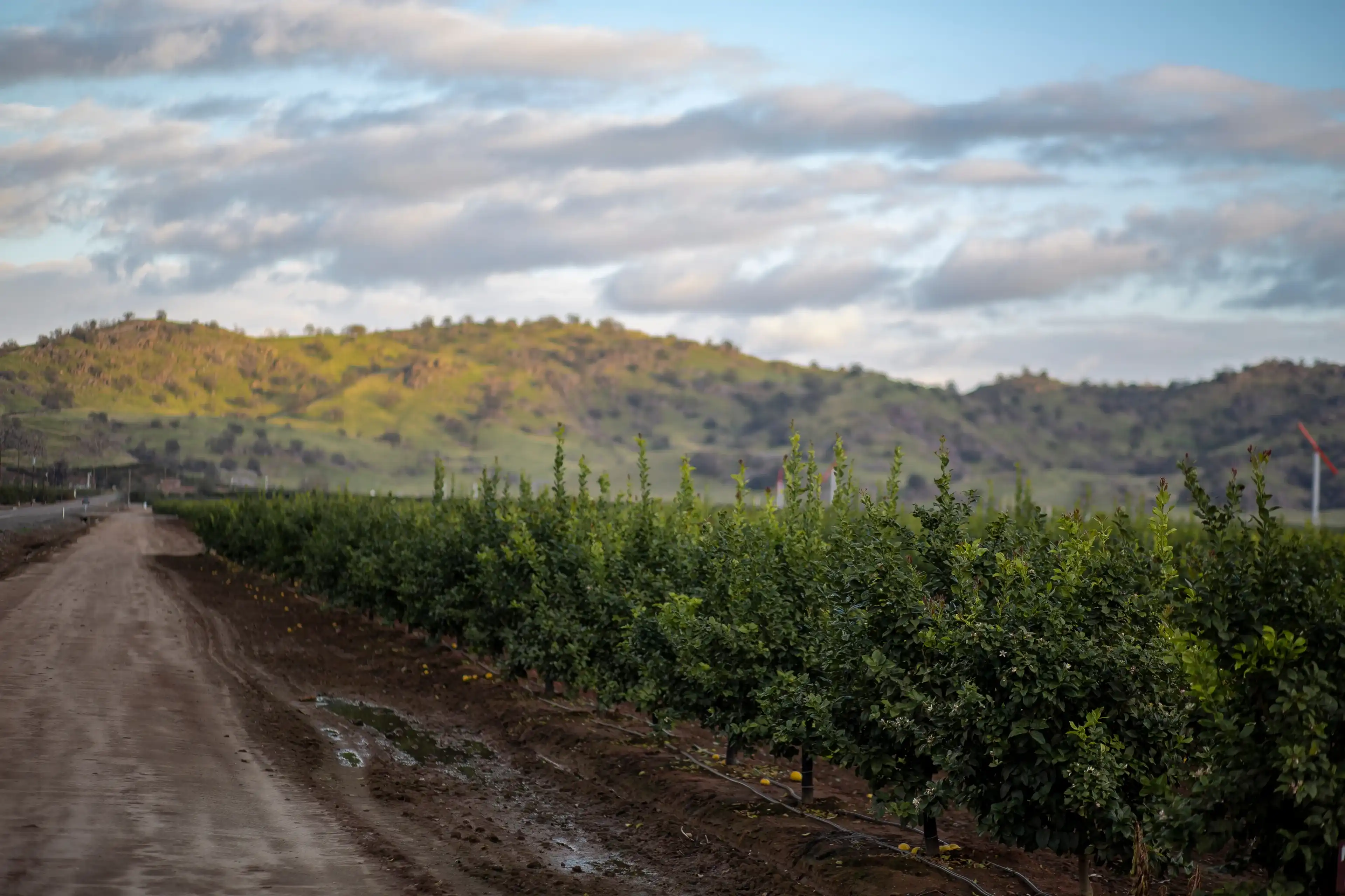 Best Visalia hotels. Cheap hotels in Visalia, California, United States Best Visalia hotels. Cheap hotels in Visalia, California, United States