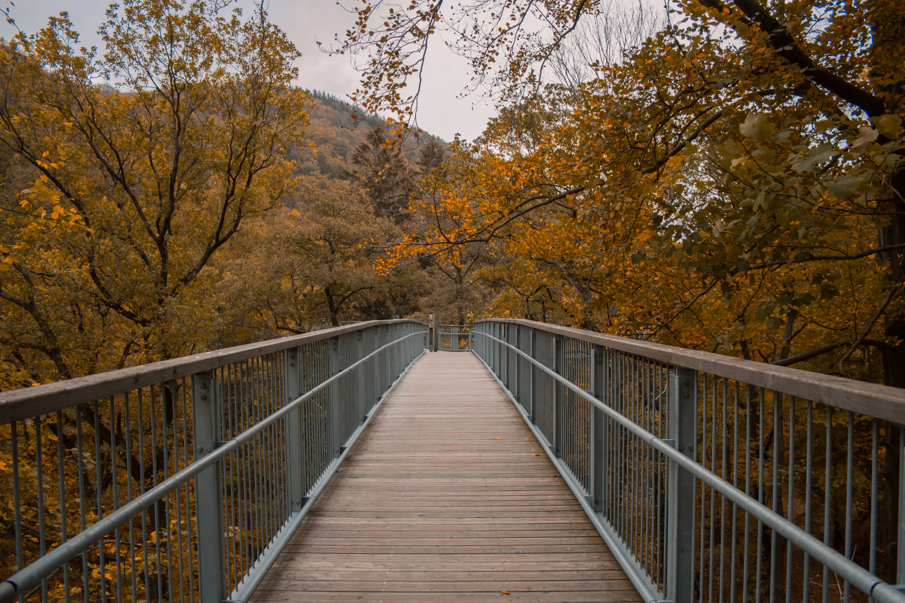 Best Bad Harzburg hotels. Cheap hotels in Bad Harzburg, Germany