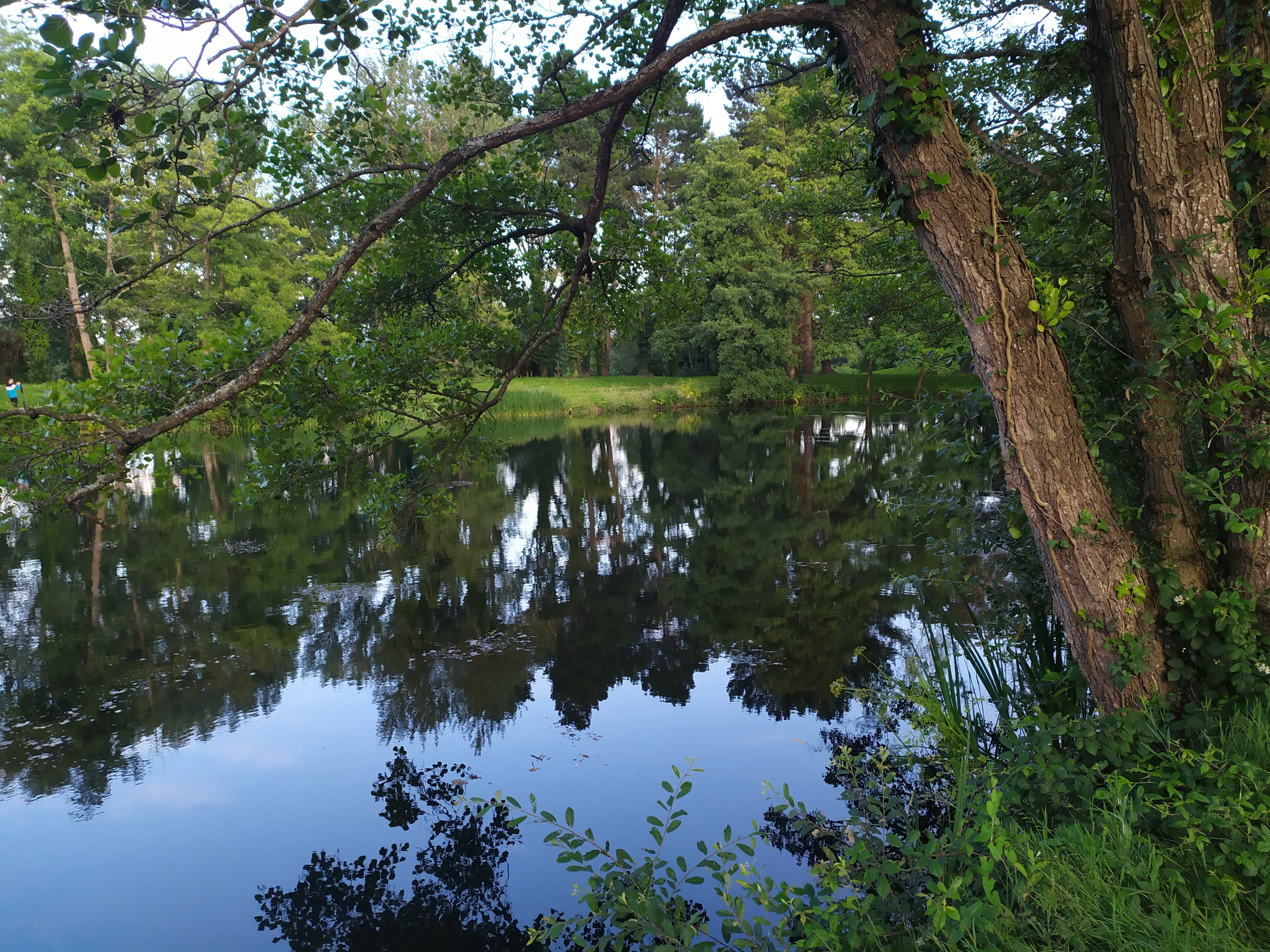 beautiful nature from a French parc in Cesson Sévigné