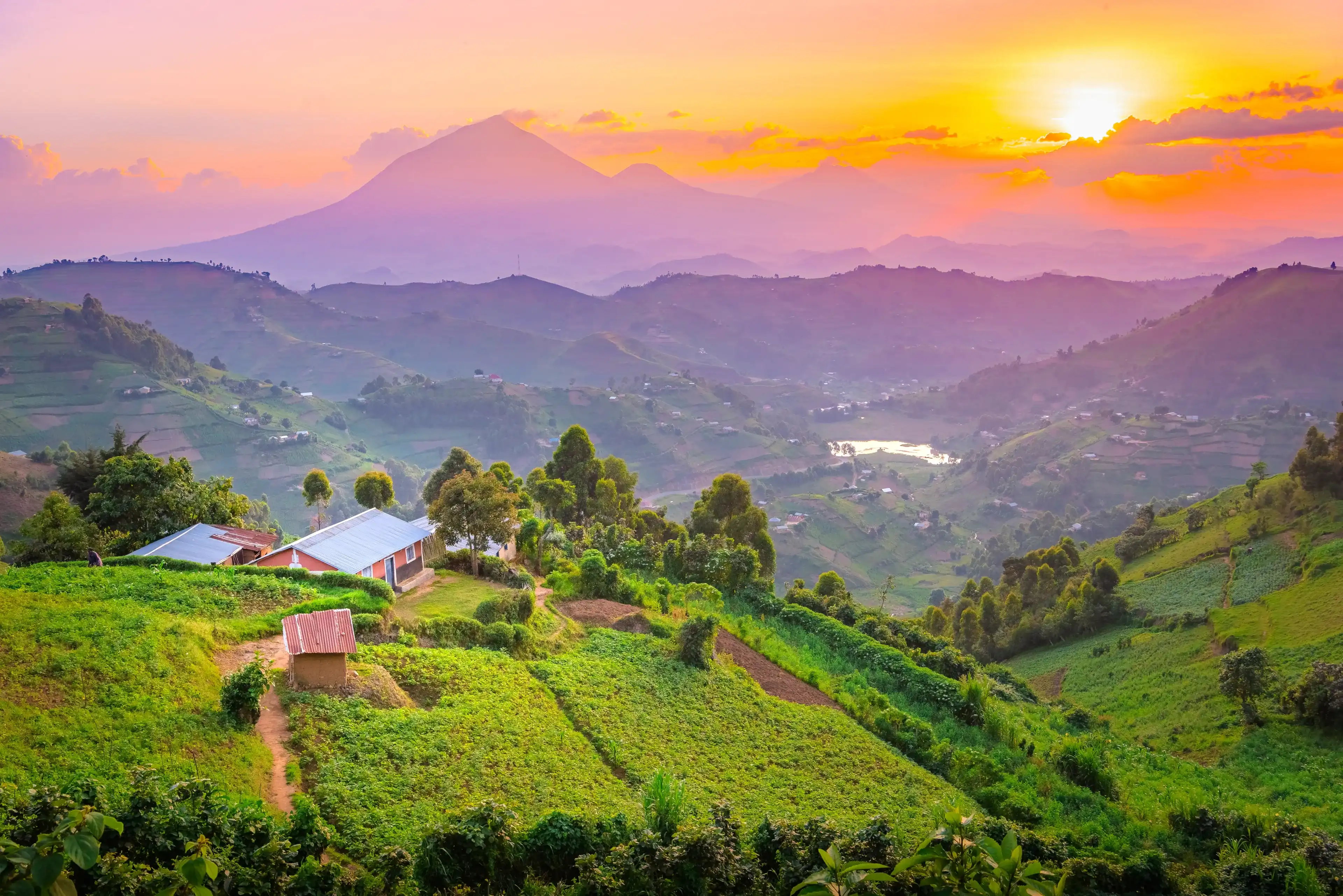 Kisoro Uganda beautiful sunset over mountains and hills of pastures and farms in villages of Uganda. Amazing colorful sky and incredible landscape to travel and admire the beauty of nature in Africa Kisoro Uganda beautiful sunset over mountains and hills of pastures and farms in villages of Uganda. Amazing colorful sky and incredible landscape to travel and admire the beauty of nature in Africa