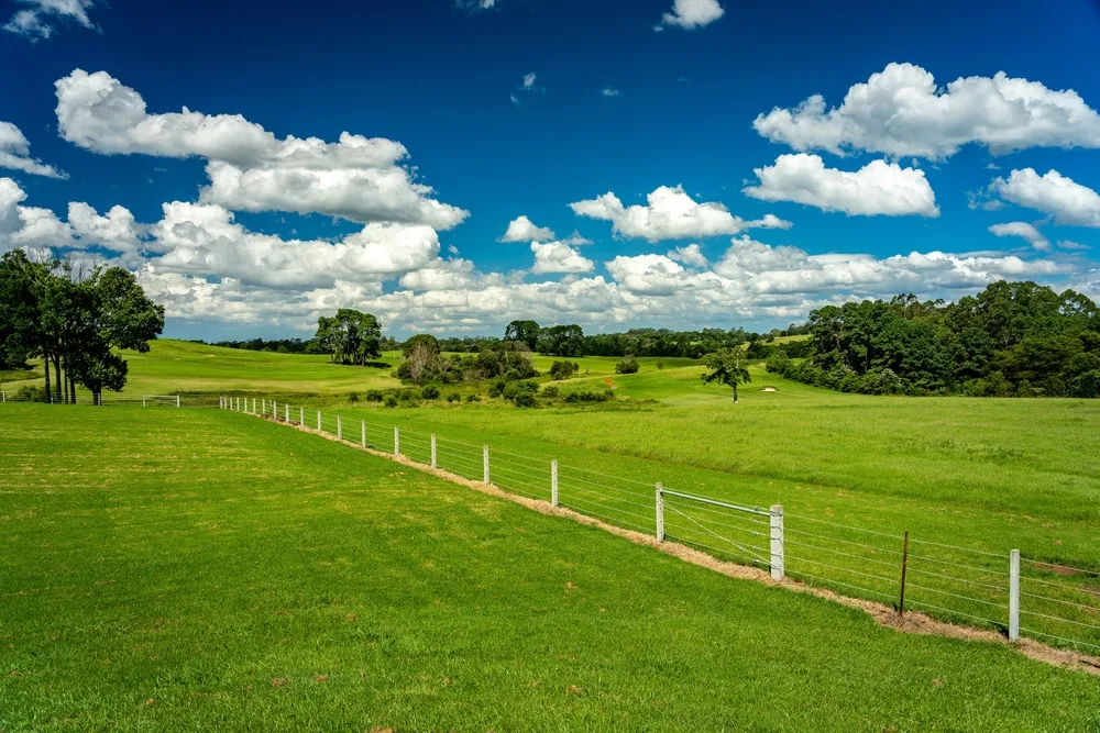 Beautiful green pastures in Maleny, Queensland, Australia