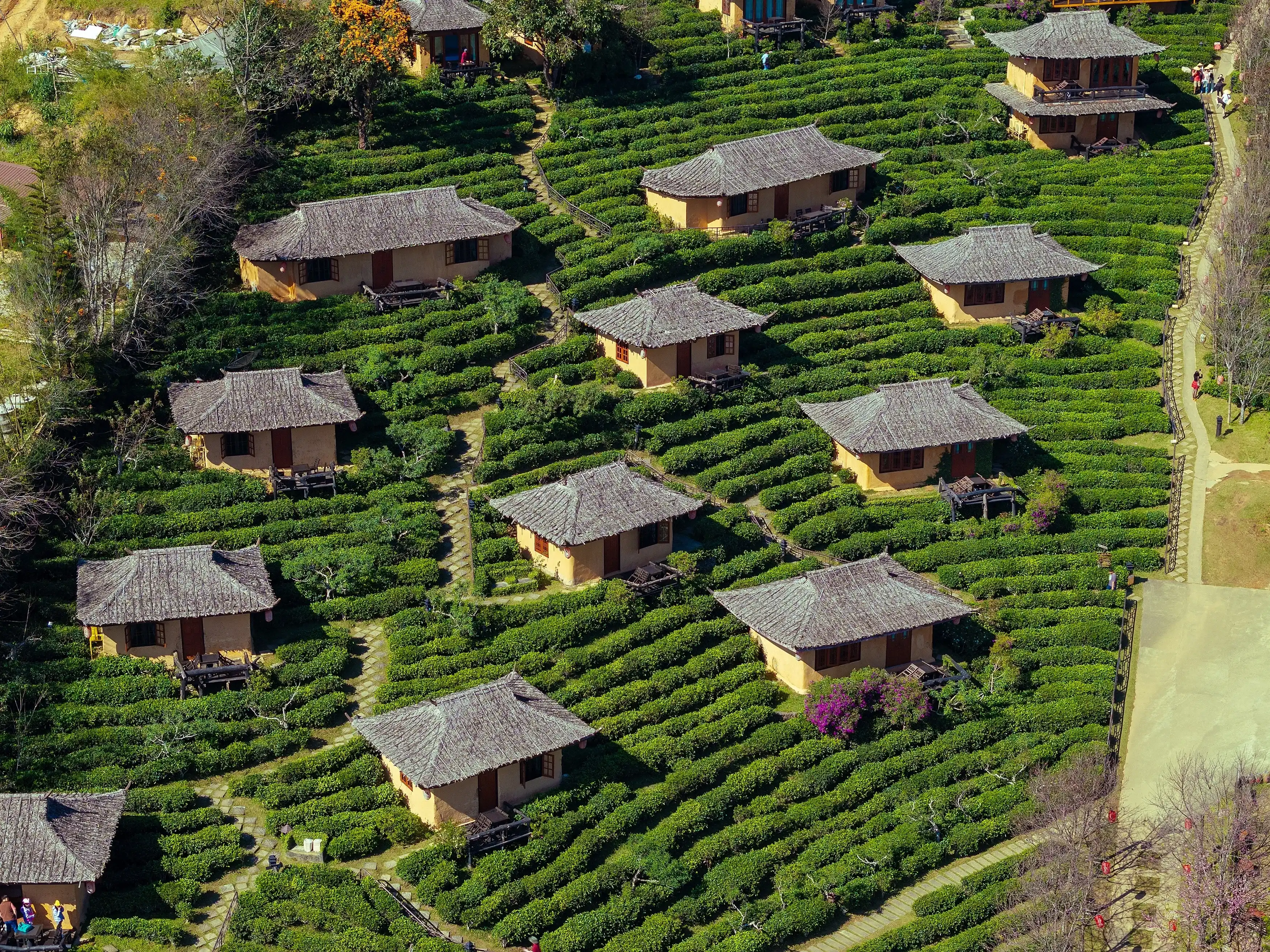 Aerial view of the Chinese village of Ban Rak Thai with tea plantations, Thailand Aerial view of the Chinese village of Ban Rak Thai with tea plantations, Thailand