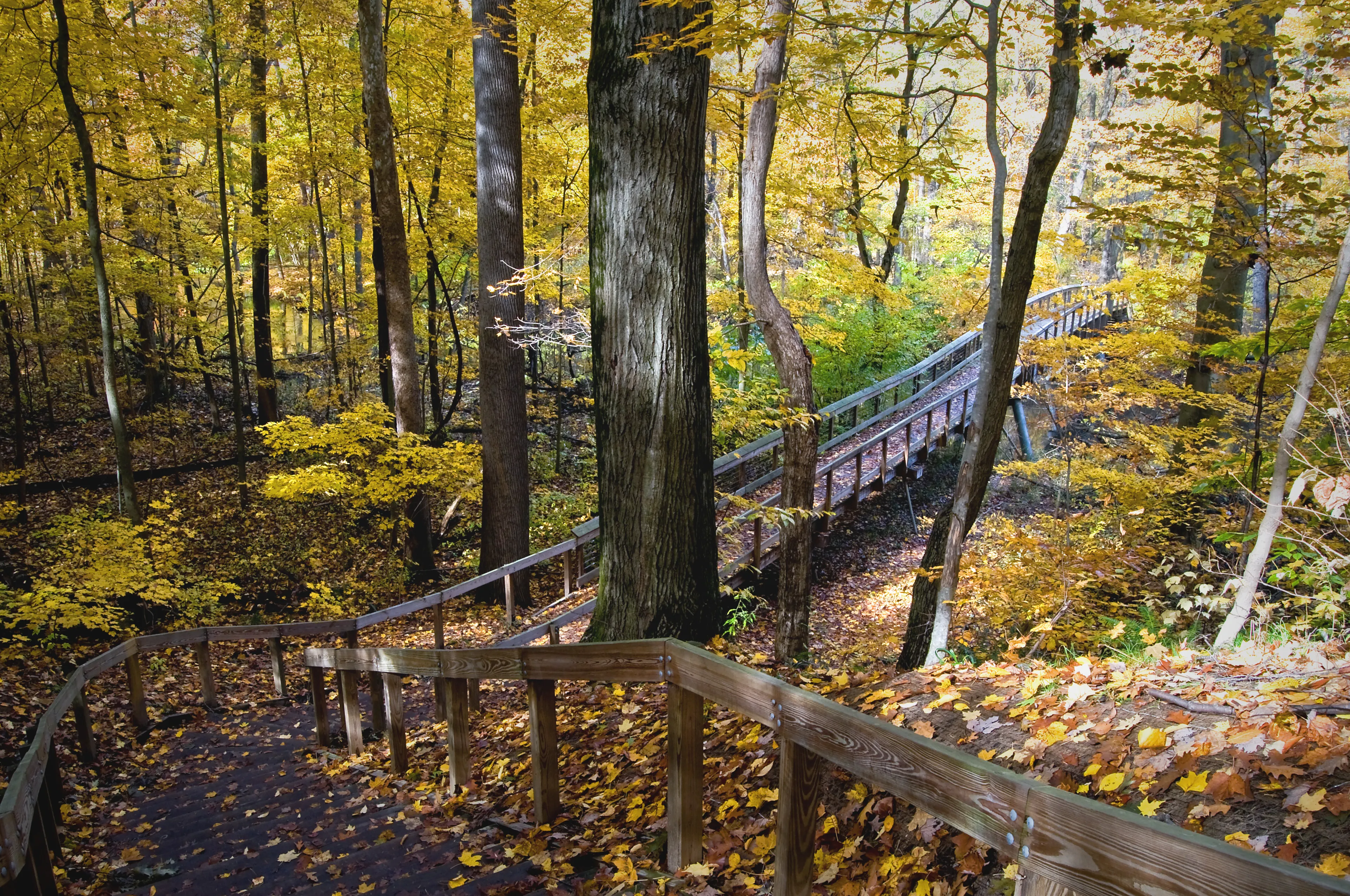 Best Warren hotels. Cheap hotels in Warren, Michigan, United States