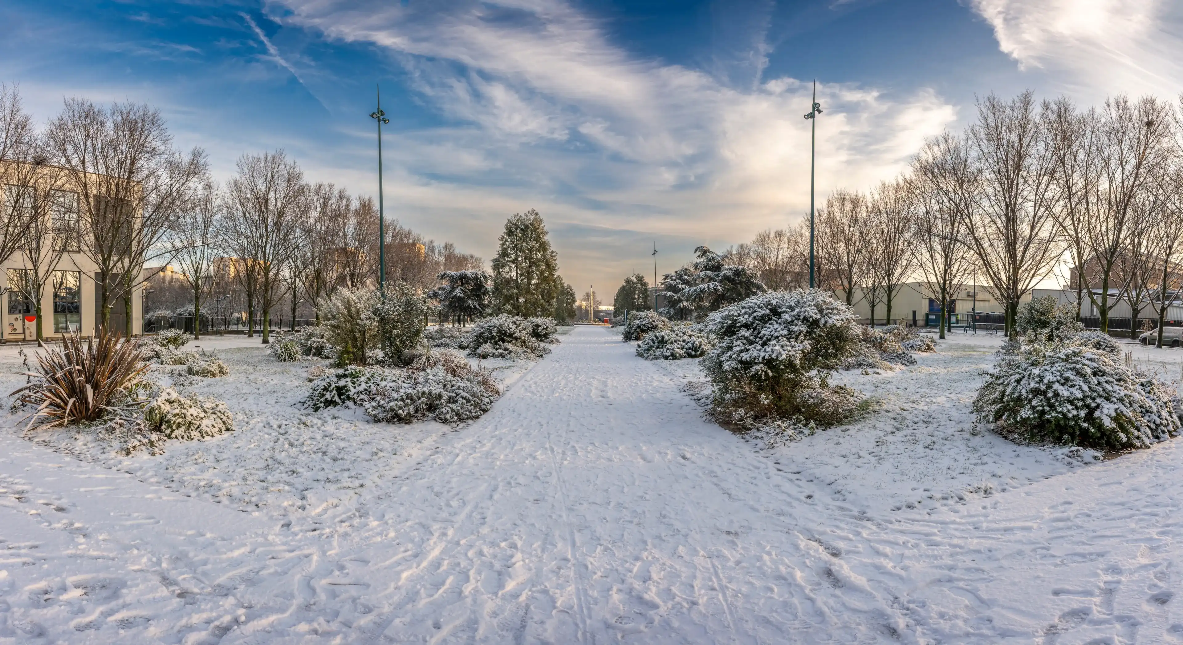 Gennevilliers, France - 12 18 2024: Eco-neighborhood. View of alignment of trees along a pathway under the snow Gennevilliers, France - 12 18 2024: Eco-neighborhood. View of alignment of trees along a pathway under the snow