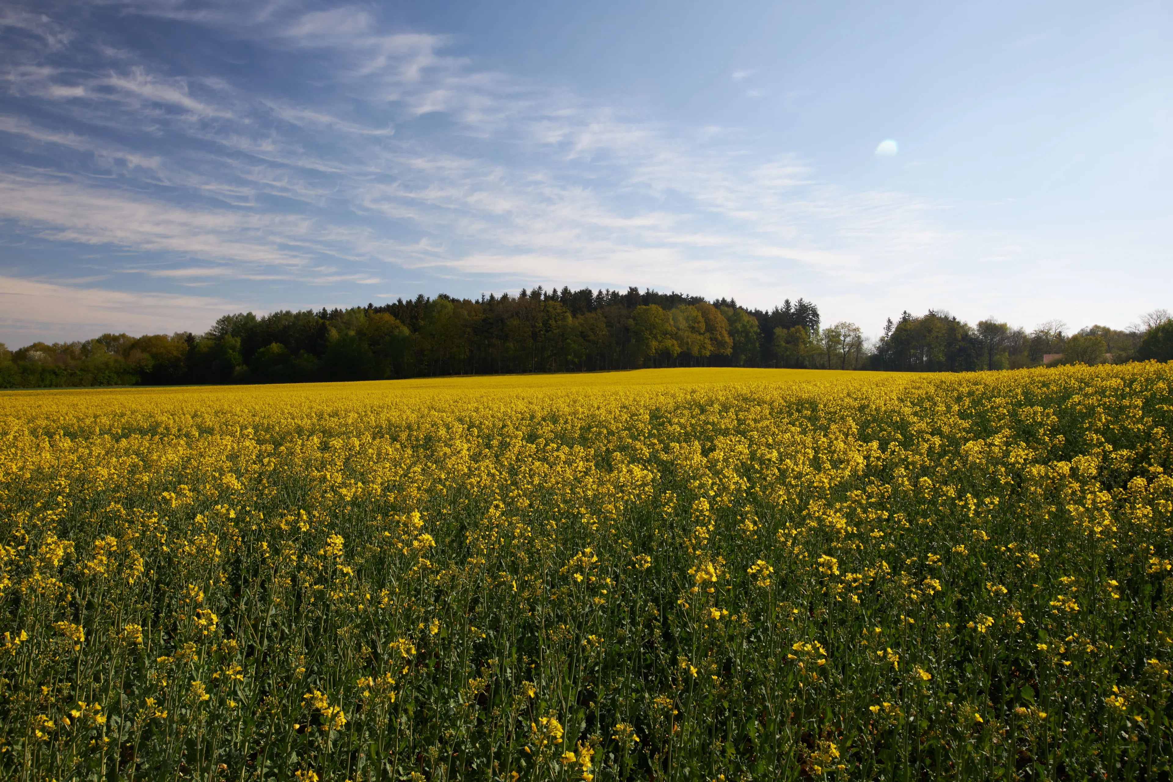 Best Unterschleißheim hotels. Cheap hotels in Unterschleißheim, Germany