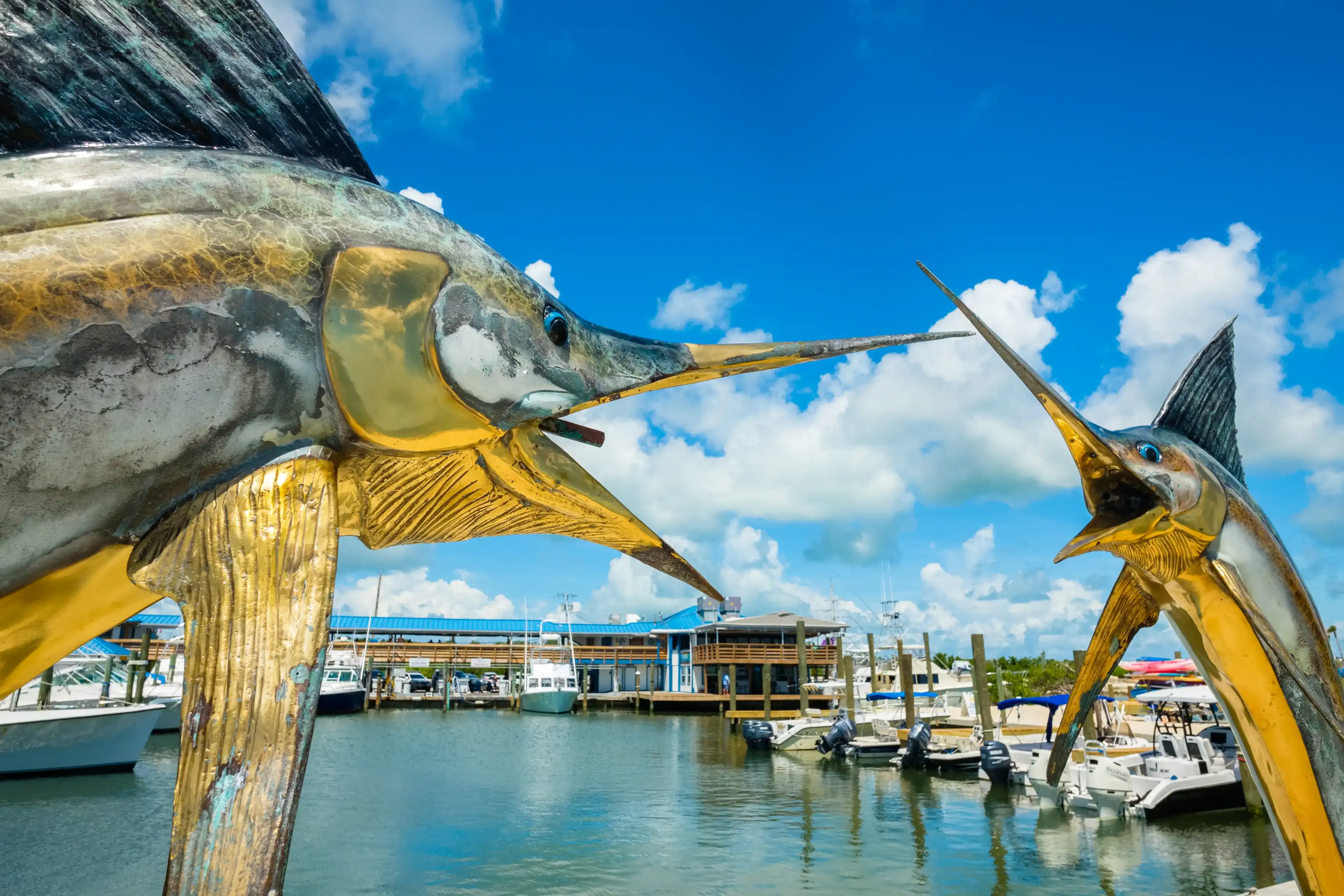 Best Islamorada hotels. Cheap hotels in Islamorada, Florida, United States Best Islamorada hotels. Cheap hotels in Islamorada, Florida, United States