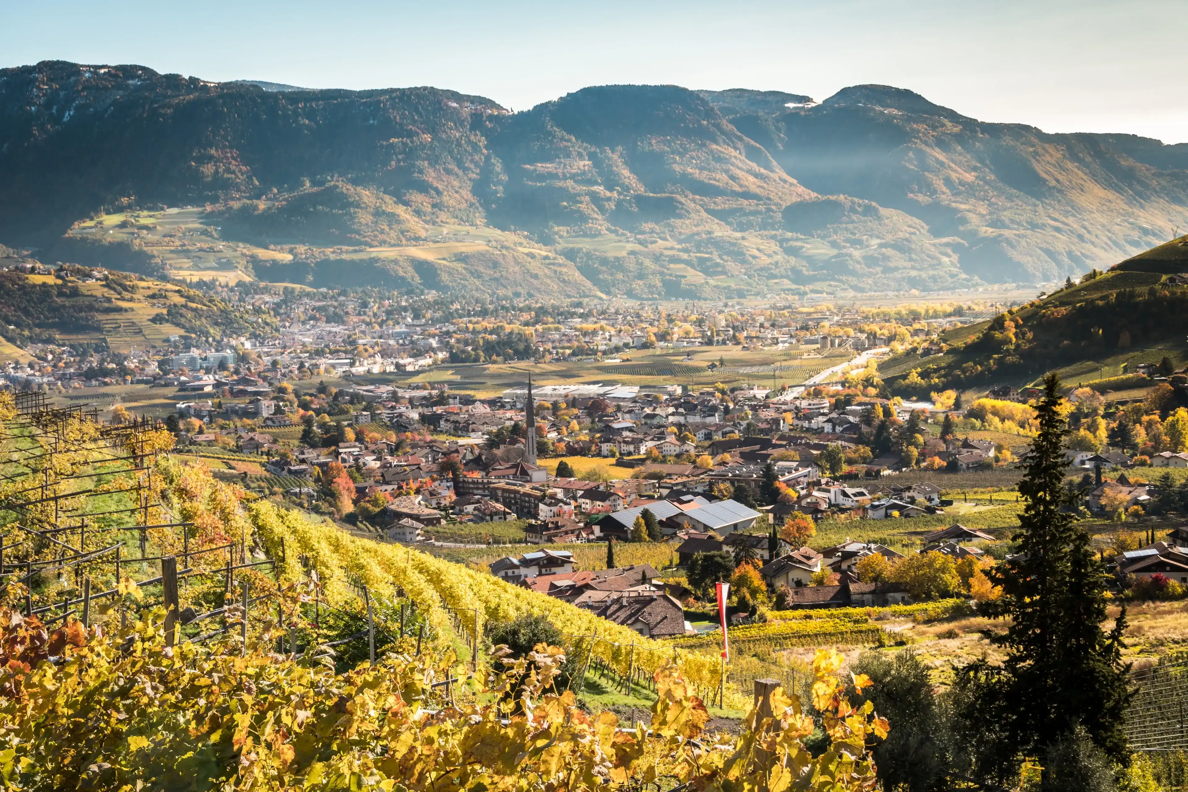 On the Algunder Waalweg (Water path of Lagundo) in Autumn over Merano in South Tyrol - Südtirol - in the alps of Trentino Alto Adige, Italy, Europe On the Algunder Waalweg (Water path of Lagundo) in Autumn over Merano in South Tyrol - Südtirol - in the alps of Trentino Alto Adige, Italy, Europe