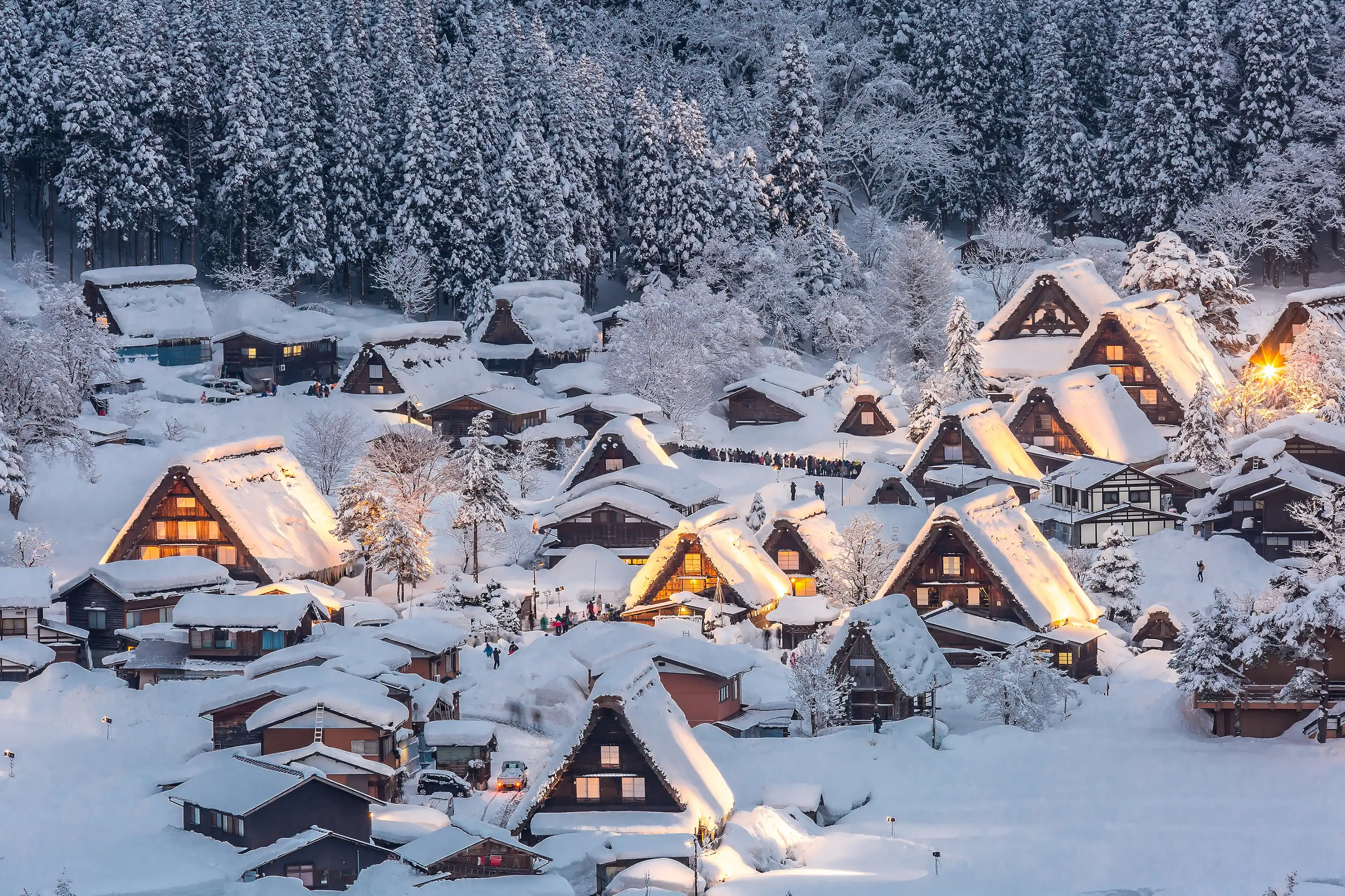 Shirakawago light-up with Snowfall Gifu Chubu Japan Shirakawago light-up with Snowfall Gifu Chubu Japan