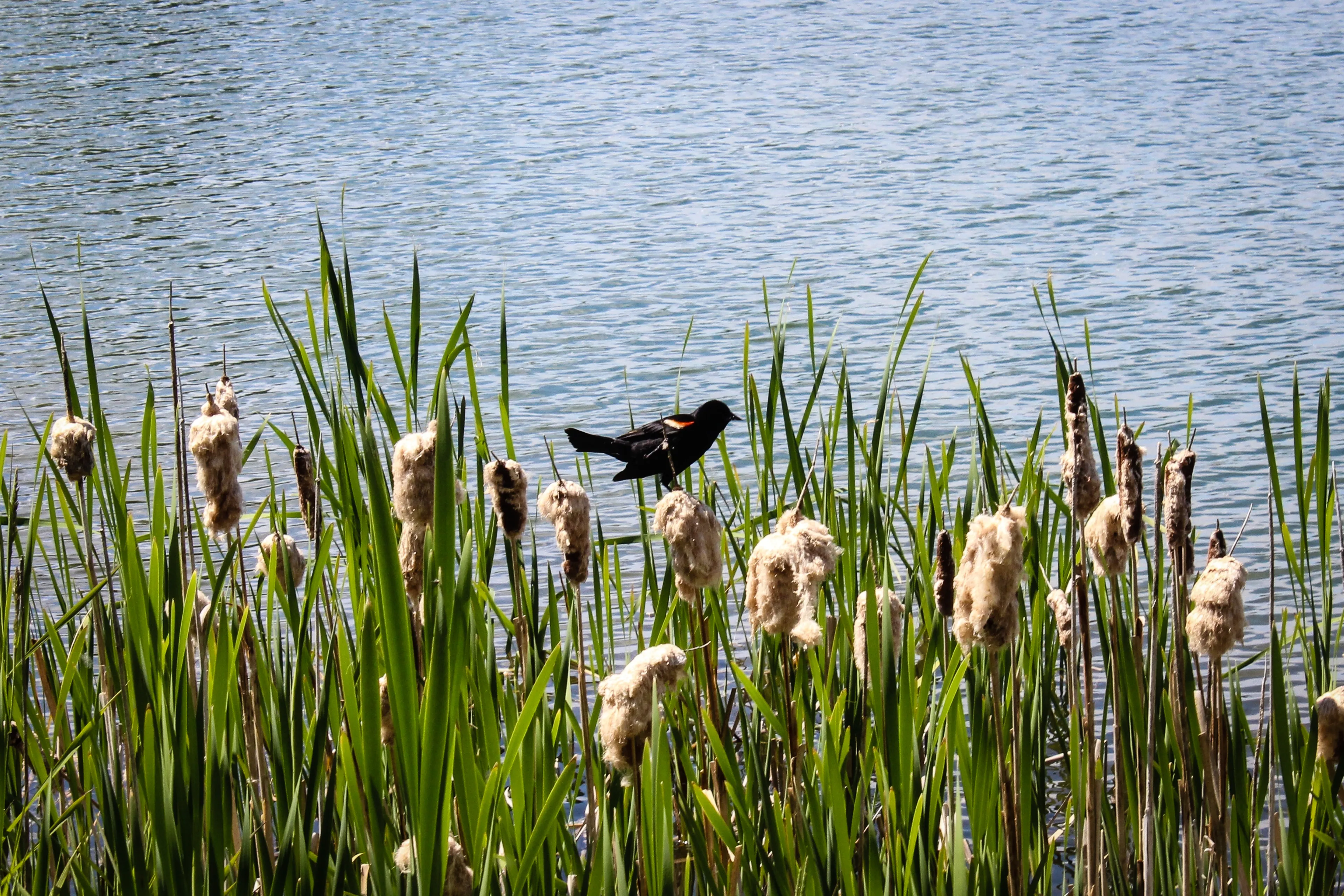  Best Whitecourt hotels. Cheap hotels in Whitecourt, Alberta, Canada