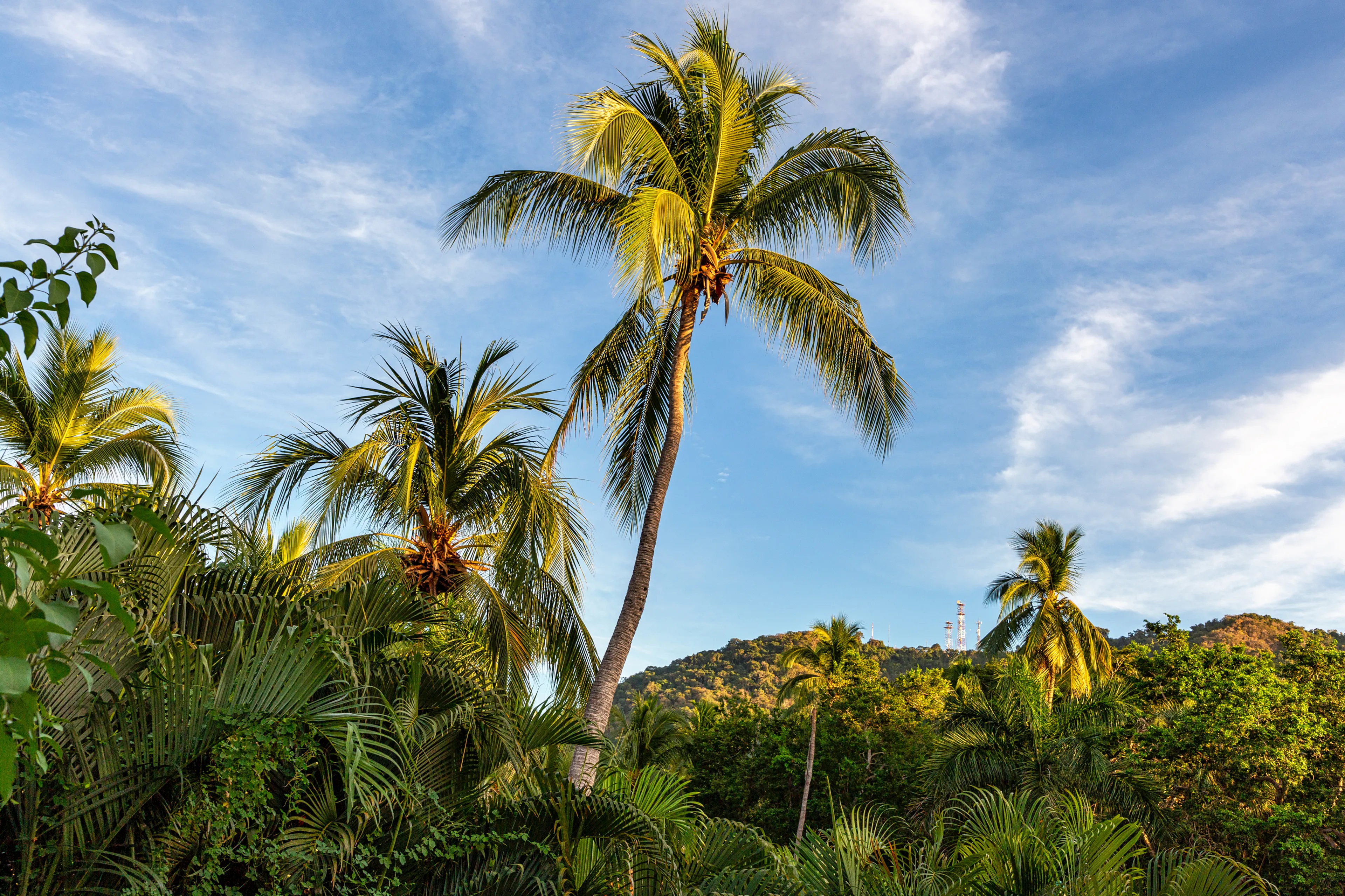Best Ixtapa-Zihuatanejo hotels. Cheap hotels in Ixtapa-Zihuatanejo, Guerrero, Mexico