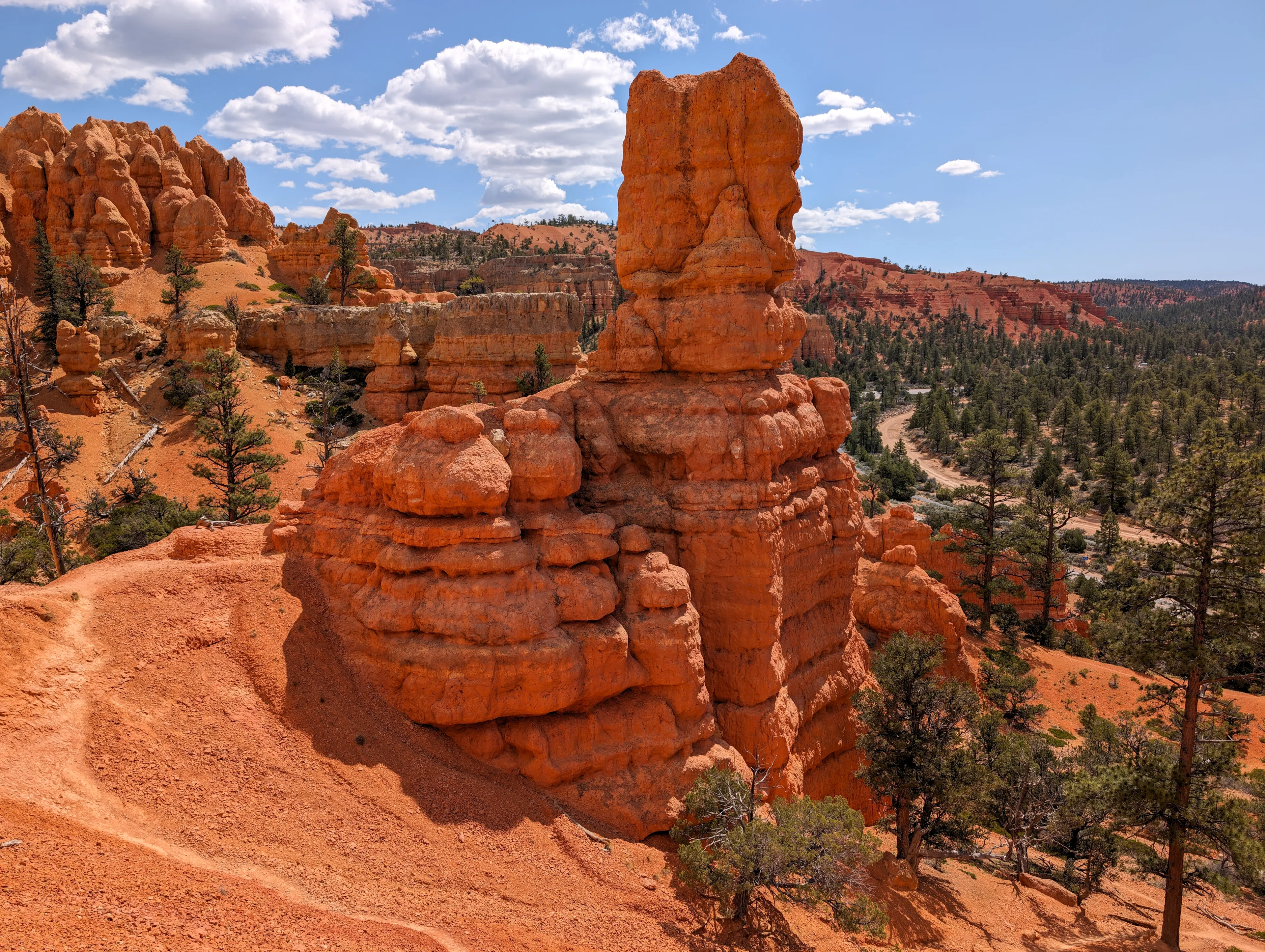 Hoodoo by the Birdseye Trail in Red Canyon, Dixie National Forest, Utah
