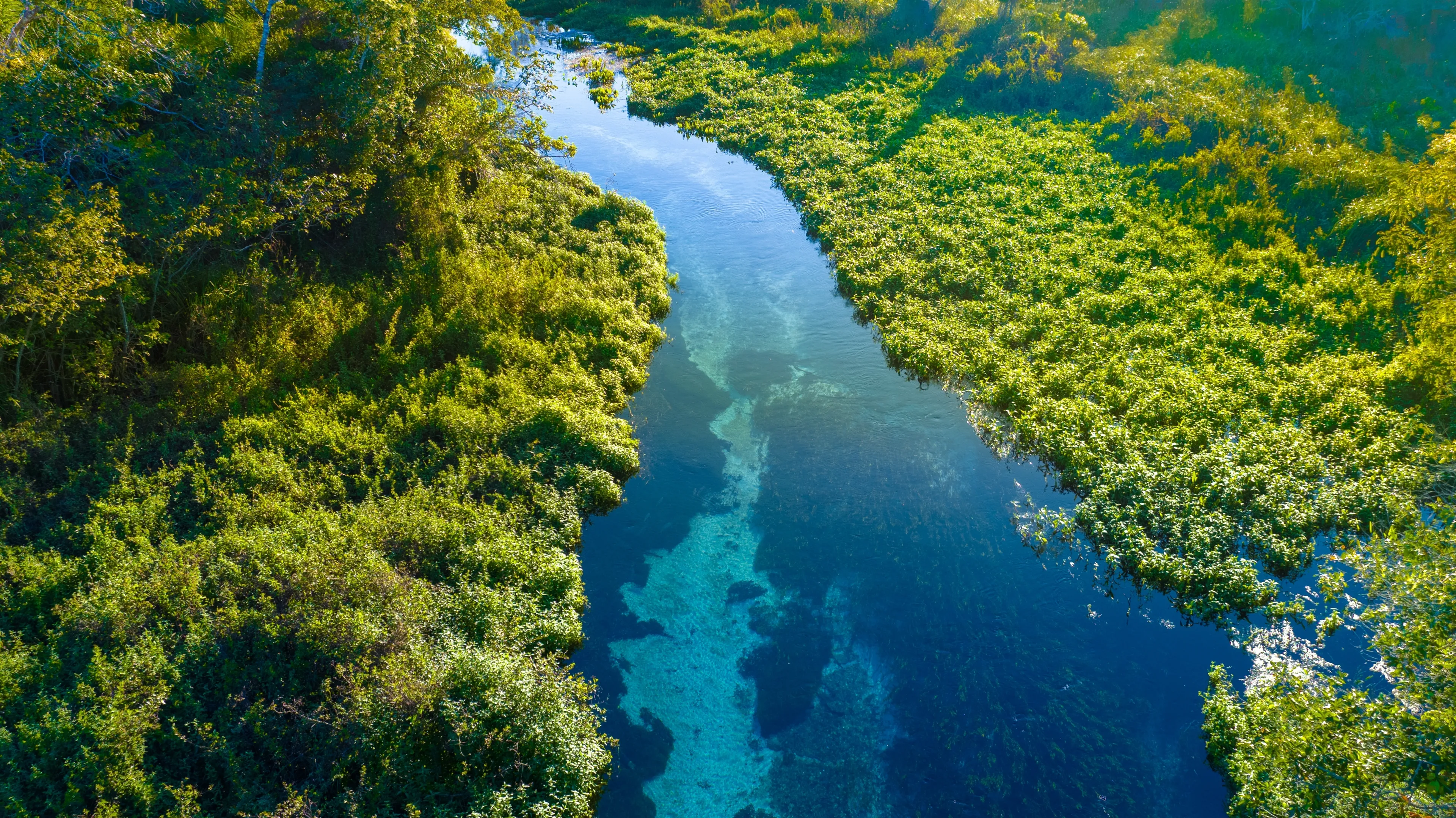 bonito river mato grosso do sul
