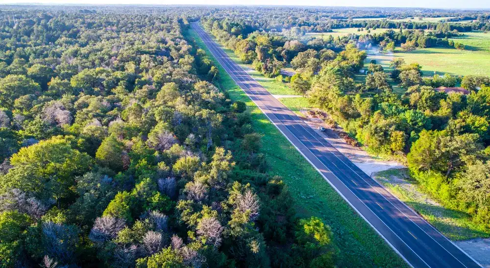 Endless Forest Straight down Abstract drone view above Thick Forest in Bastrop , Texas Texas road to no where Endless Forest Straight down Abstract drone view above Thick Forest in Bastrop , Texas Texas road to no where