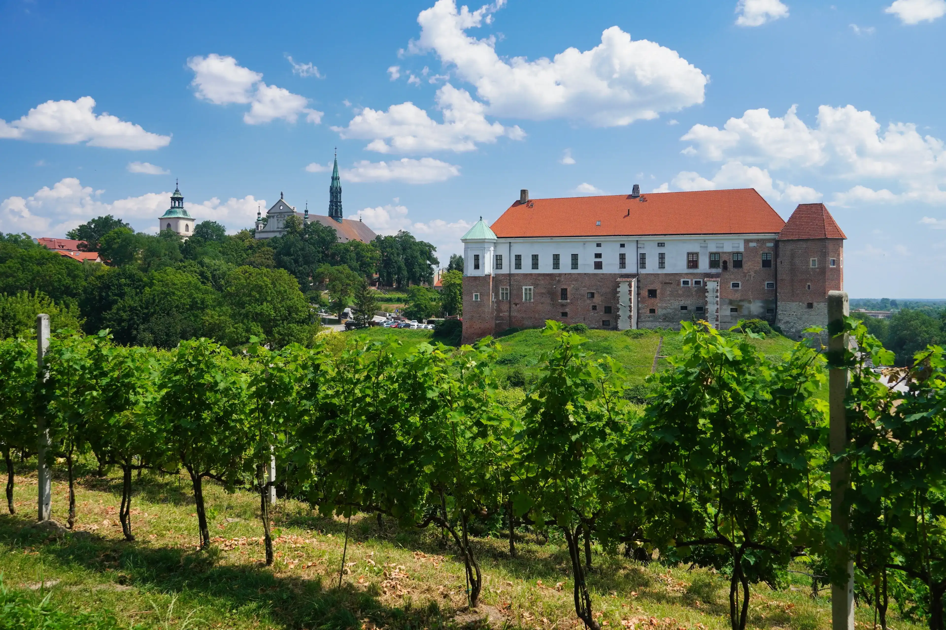 Sandomierz, Poland - July 10, 2024: Old St. James's vineyard with a view of the castle in Sandomierz. Sandomierz, Poland - July 10, 2024: Old St. James's vineyard with a view of the castle in Sandomierz.