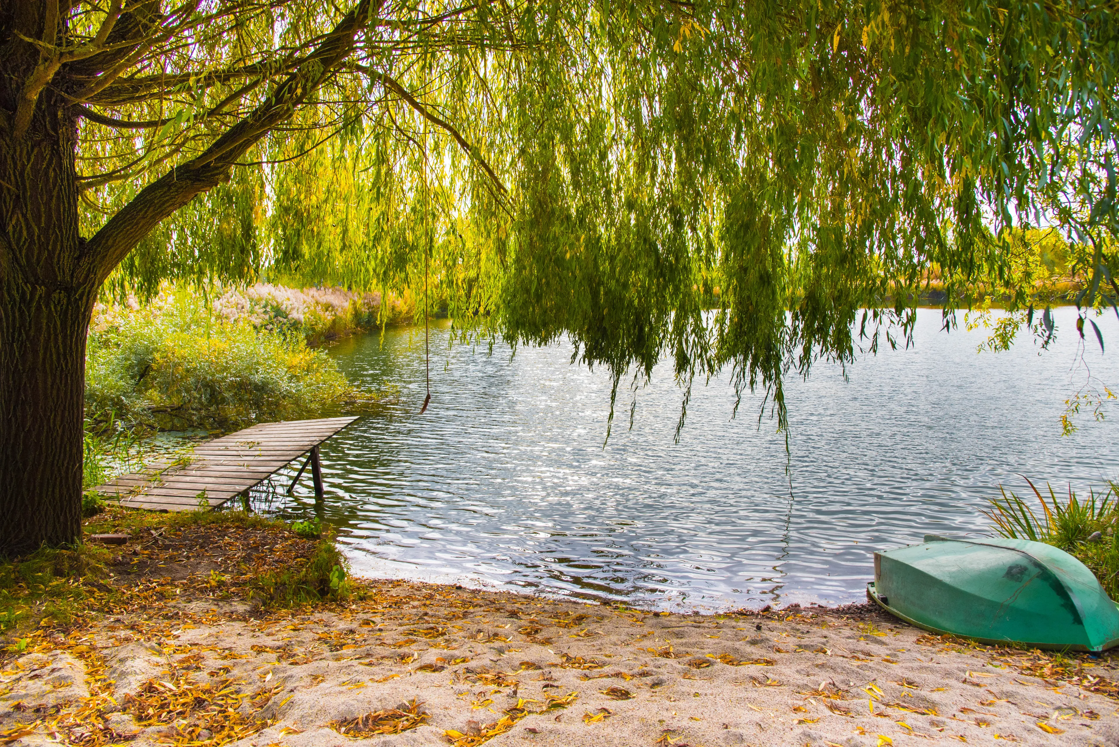 Best Kappel-Grafenhausen hotels. Cheap hotels in Kappel-Grafenhausen, Germany