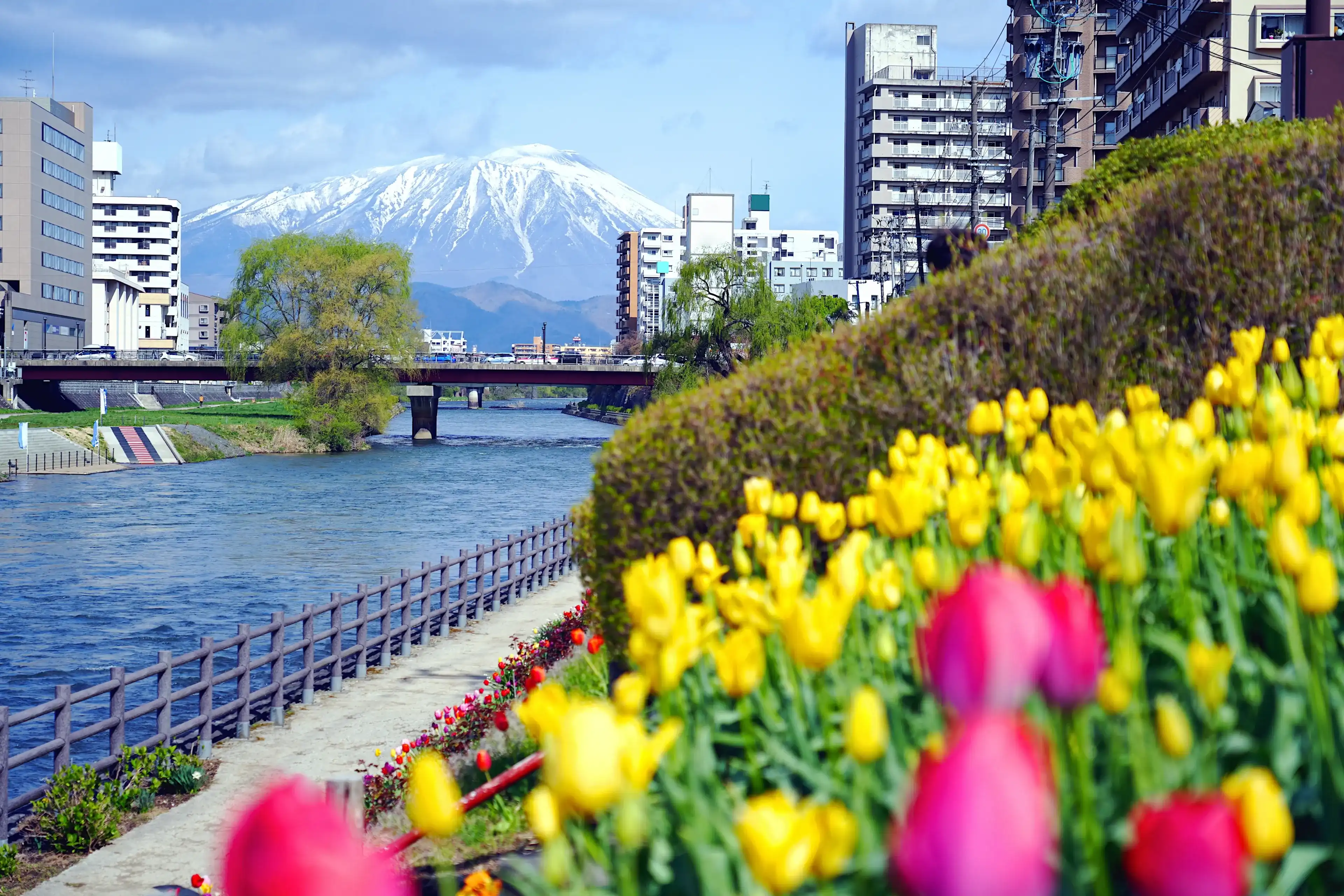 Beautiful morioka city view with Mt. iwate in the background and the Kitakami river flowing through the middle of town with flower gardens. Beautiful morioka city view with Mt. iwate in the background and the Kitakami river flowing through the middle of town with flower gardens.