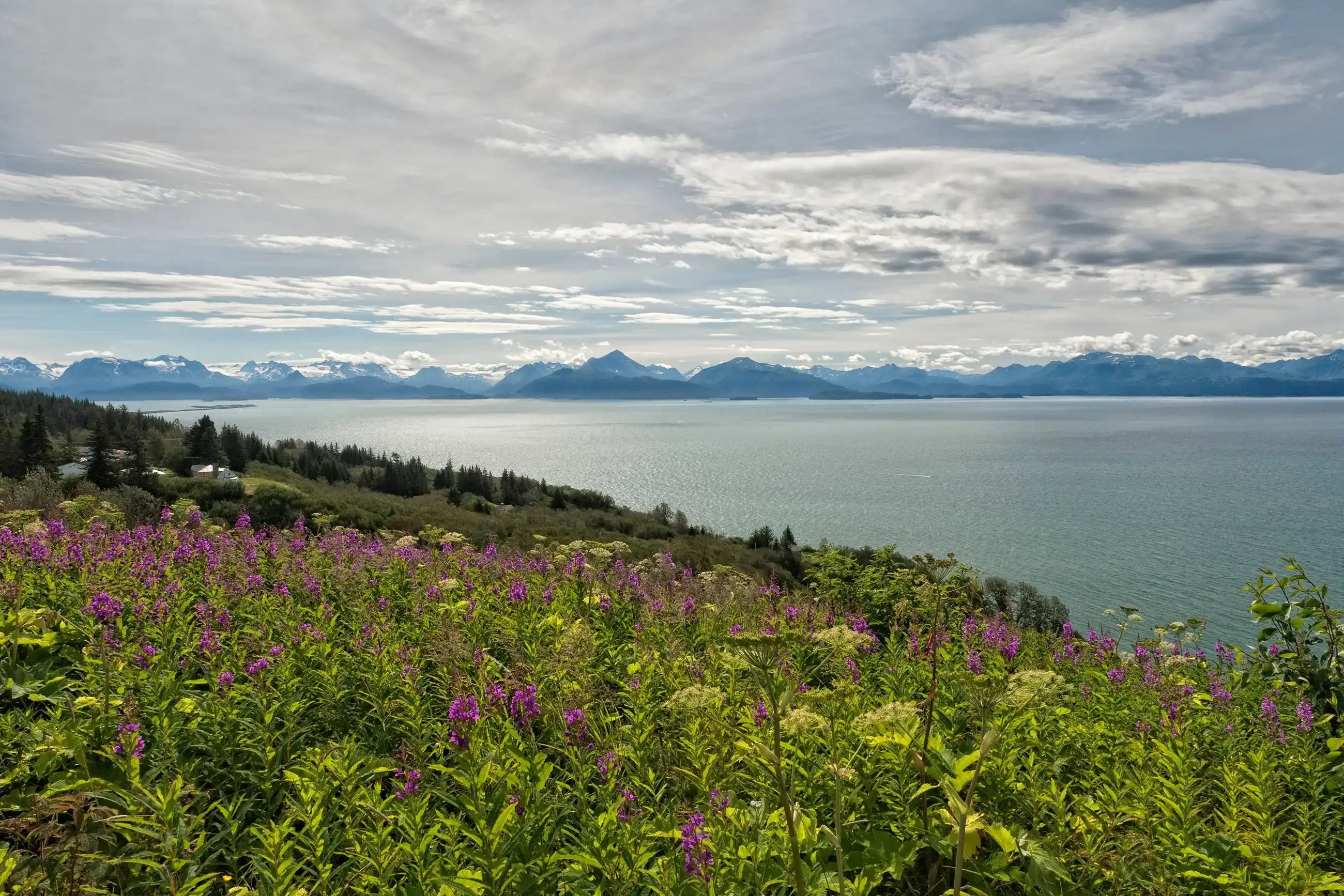 Best Homer hotels. Cheap hotels in Homer, Alaska, United States Best Homer hotels. Cheap hotels in Homer, Alaska, United States