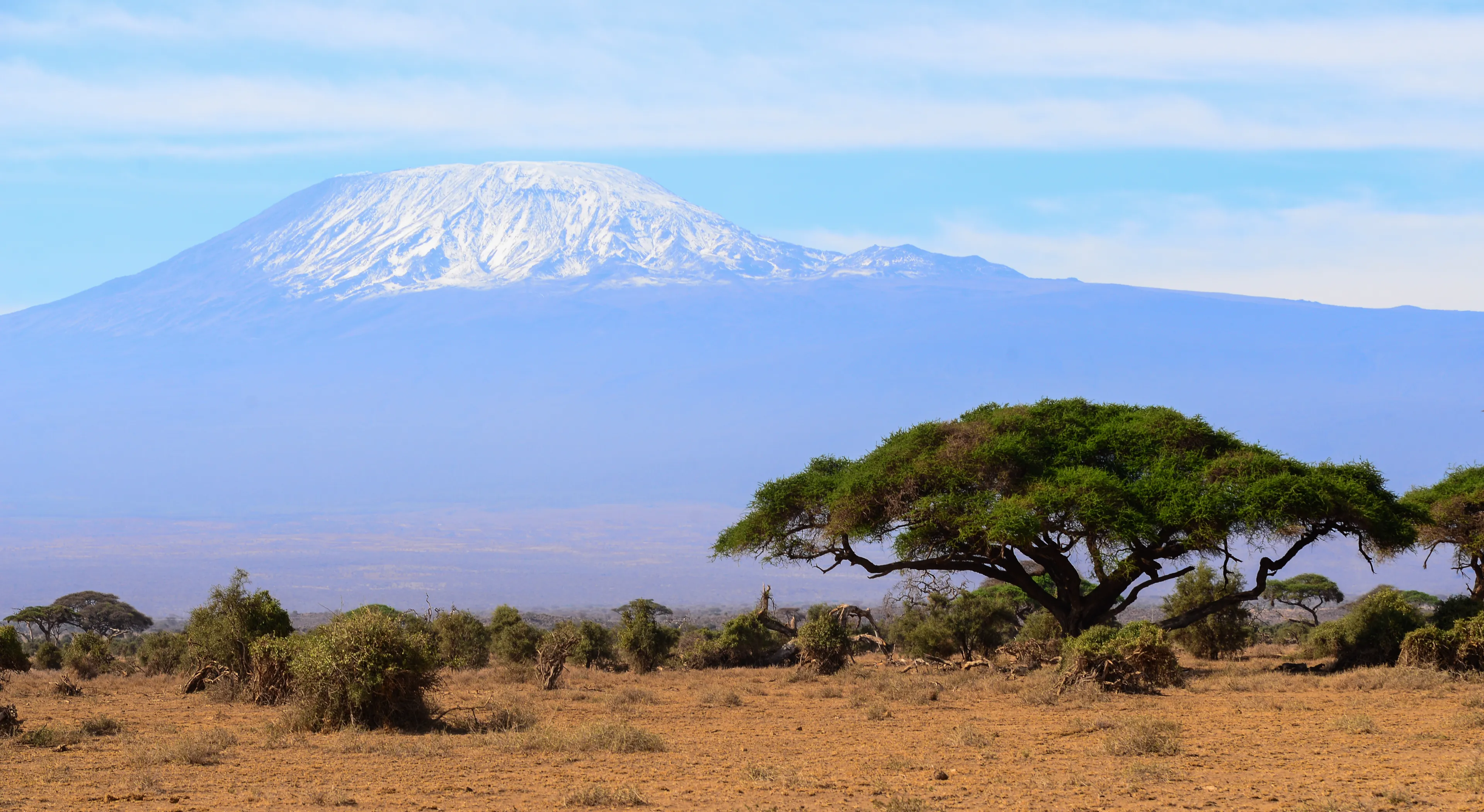 Kilimanjaro Amboseli national park