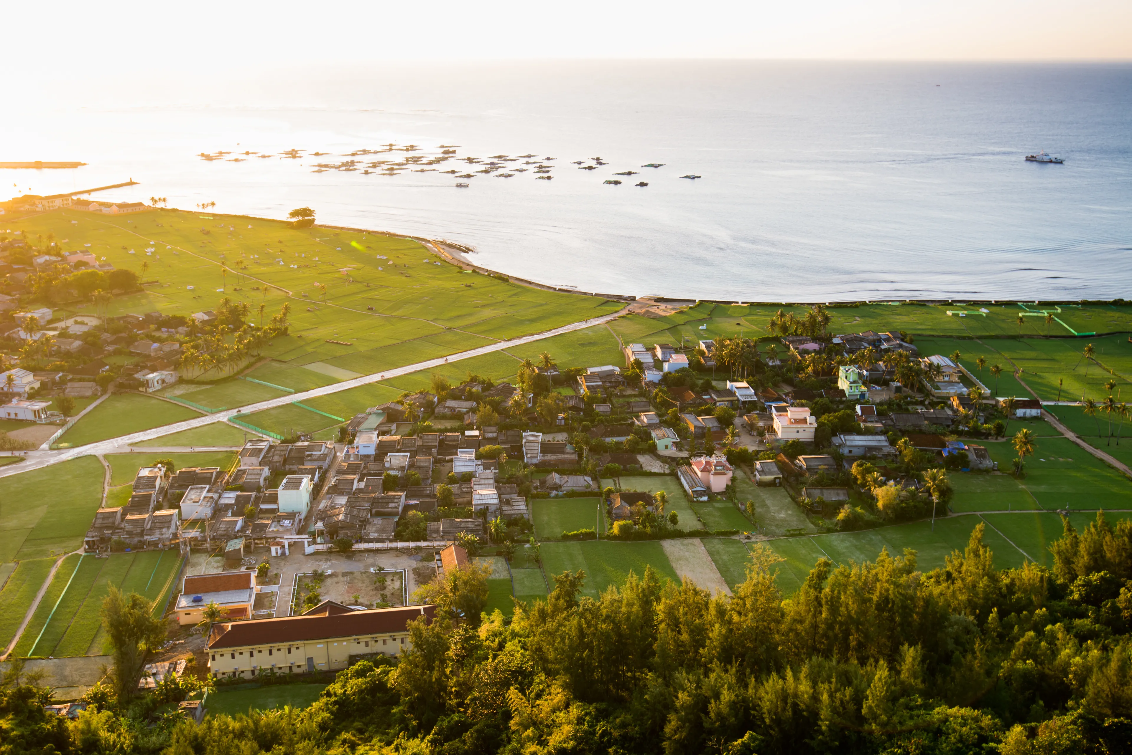 Beautiful landscape with garlic field, coconut and beach in Lyson island, Quang Ngai, Vietnam.