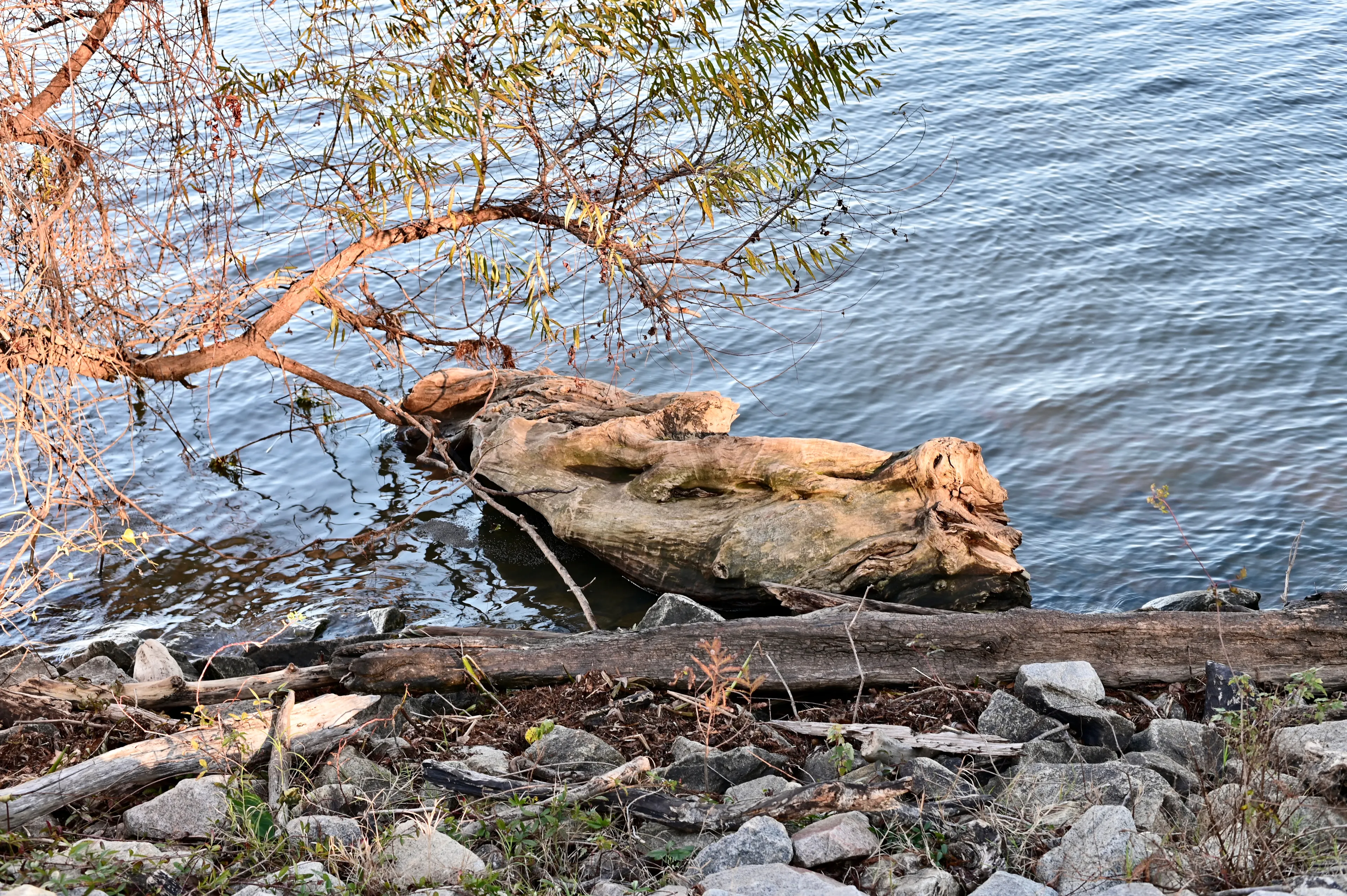  Best Santee hotels. Cheap hotels in Santee, South Carolina, United States