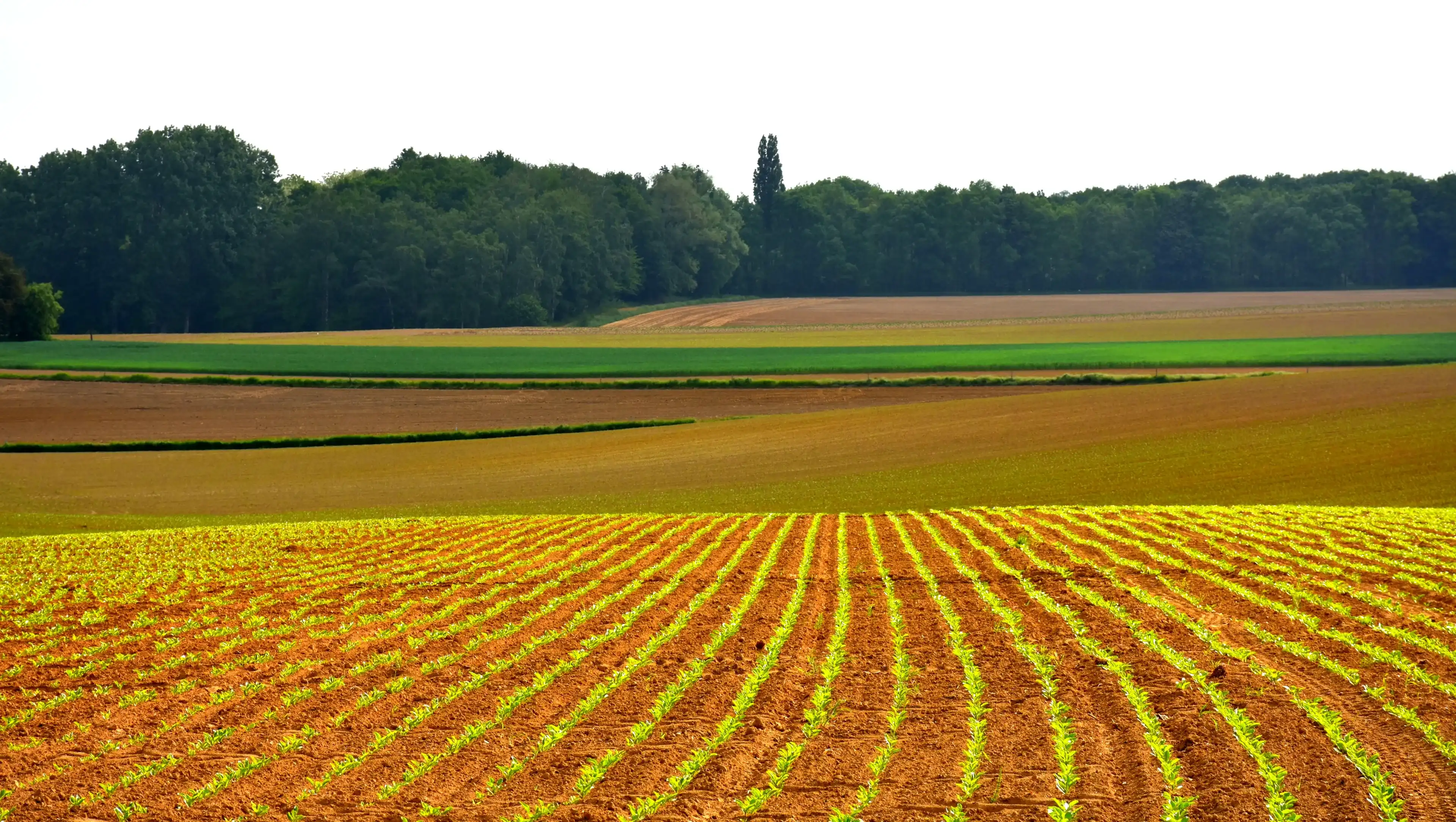 scenic shot of rural landscape in Overijse region in Flemish brabant in Belgium scenic shot of rural landscape in Overijse region in Flemish brabant in Belgium