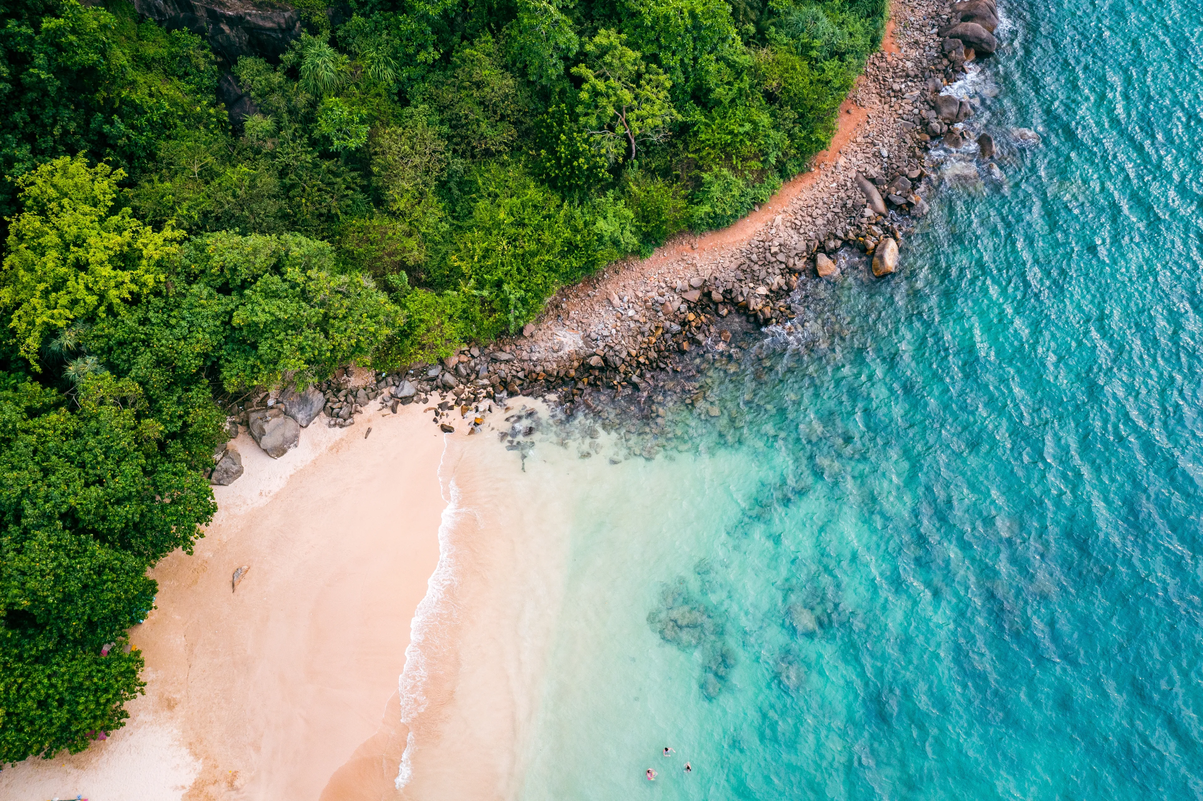 Tropical Jungle Beach in Sri Lanka. Aerial view of Exotic Costline and Rainforest. Paradise Beach.
