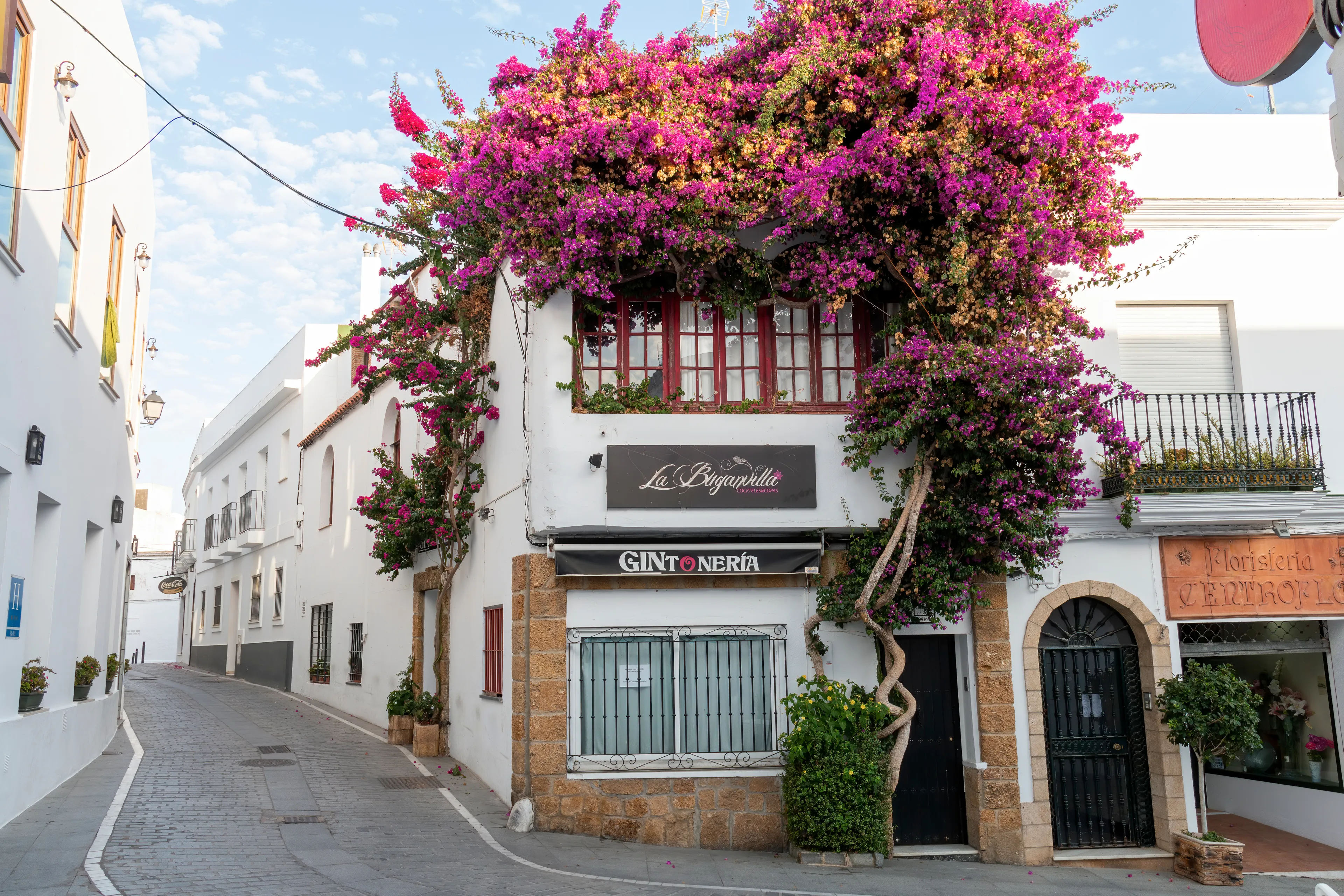 Conil de la Frontera, Cádiz, Spain - October 12, 2019: Pretty street in Conil de la Frontera decorated with a large bougainvillea