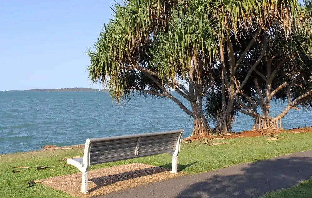 Bench seat under a pandanus tree overlooking the ocean at Spinnaker Park in Gladstone, Queensland, Australia Bench seat under a pandanus tree overlooking the ocean at Spinnaker Park in Gladstone, Queensland, Australia