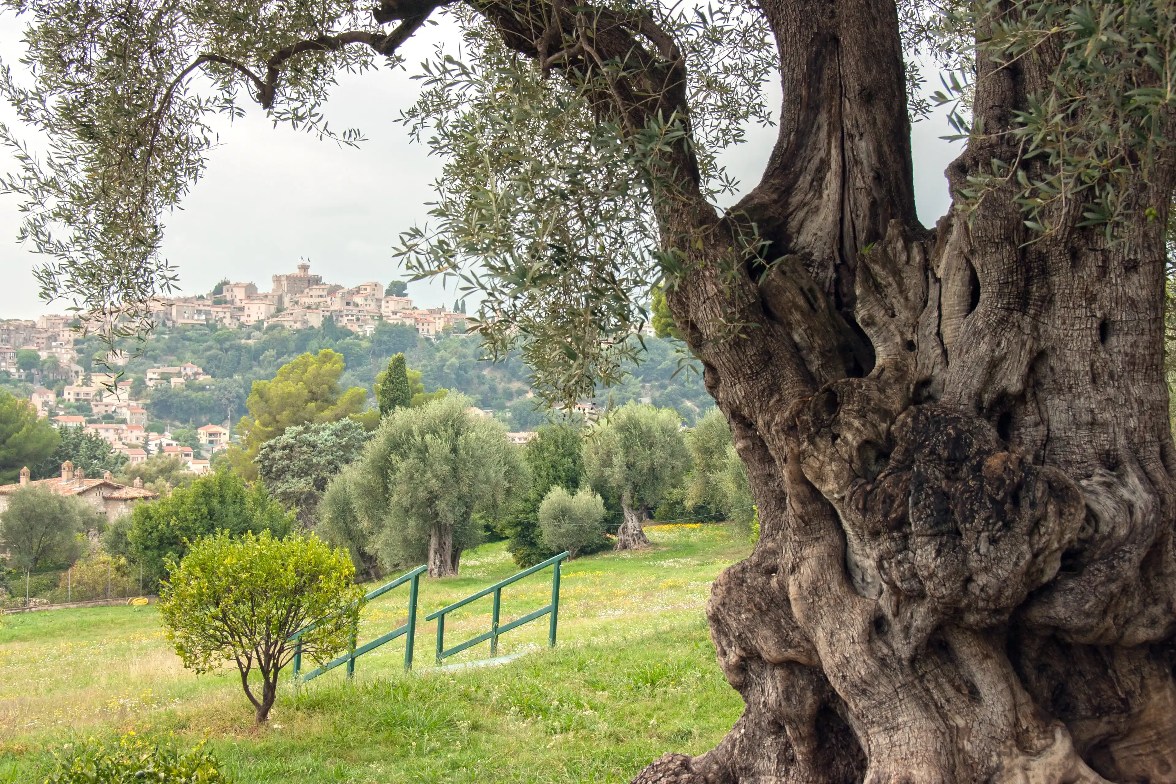 Best Cagnes-sur-Mer hotels. Cheap hotels in Cagnes-sur-Mer, France Best Cagnes-sur-Mer hotels. Cheap hotels in Cagnes-sur-Mer, France