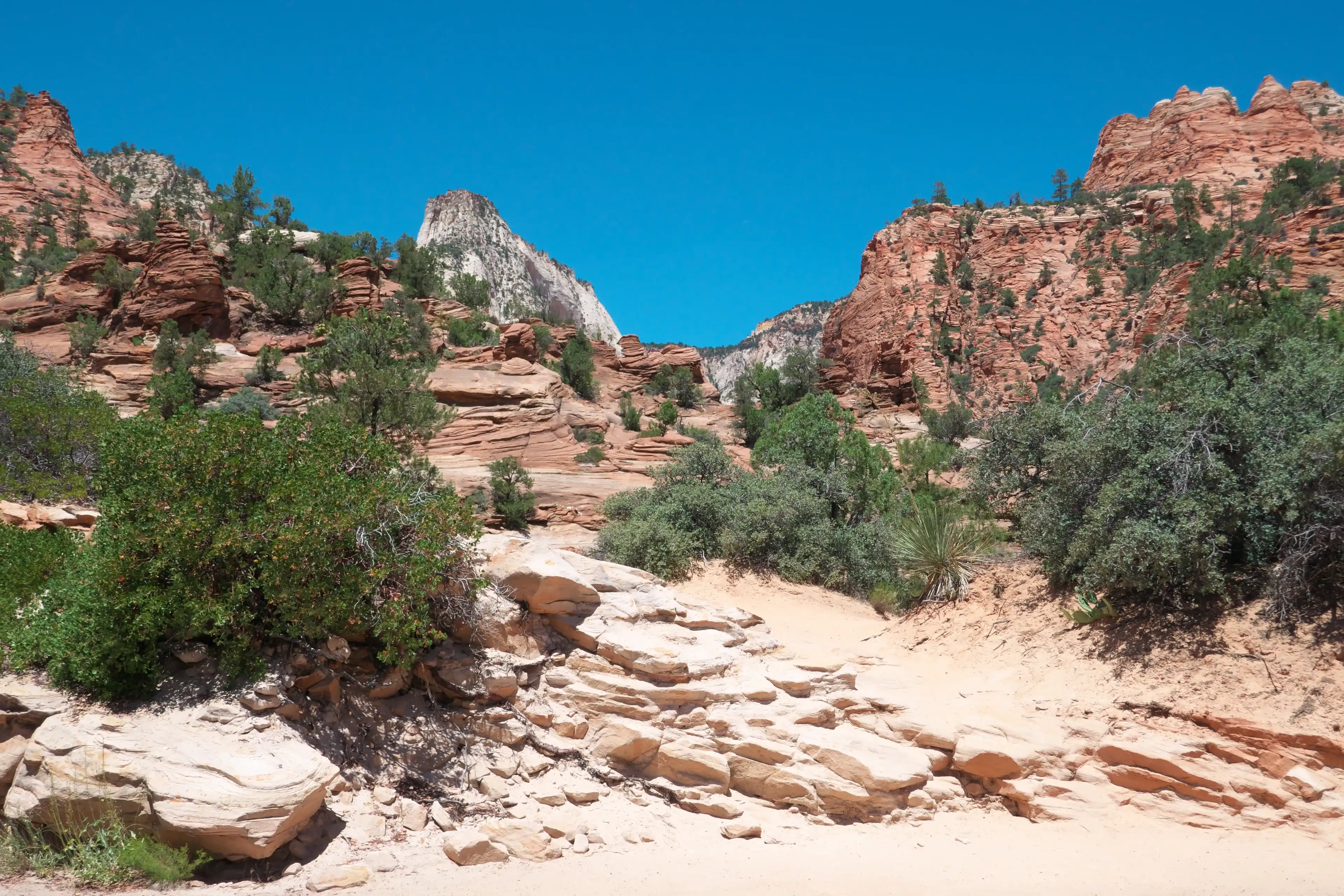 Best Springdale hotels. Cheap hotels in Springdale, Utah, United States Best Springdale hotels. Cheap hotels in Springdale, Utah, United States