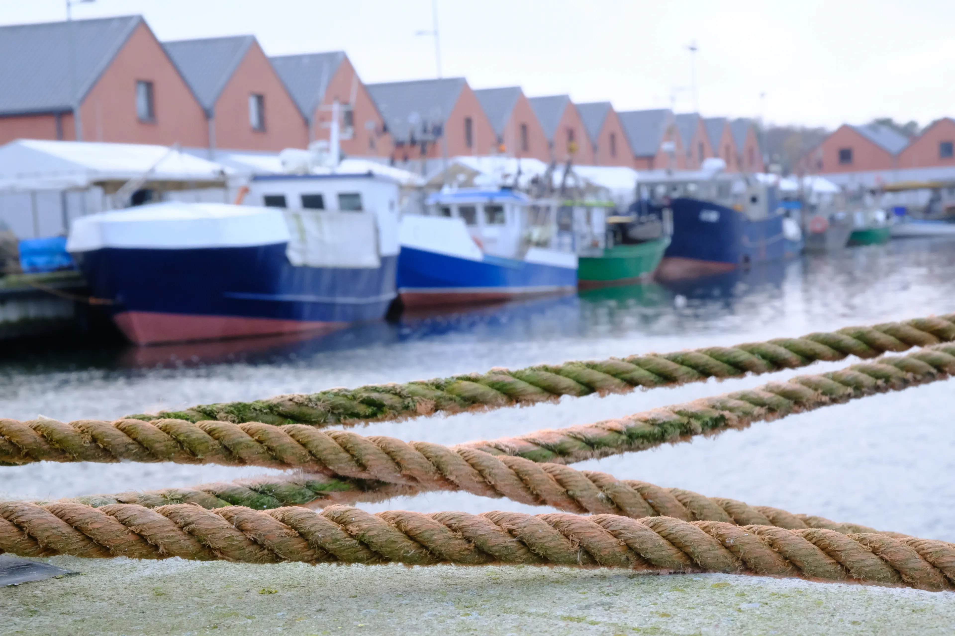 Fishing port in the small town of Dziwnów on the Baltic Sea in Poland. It is a holiday resort with a summer sea bathing and seaport.