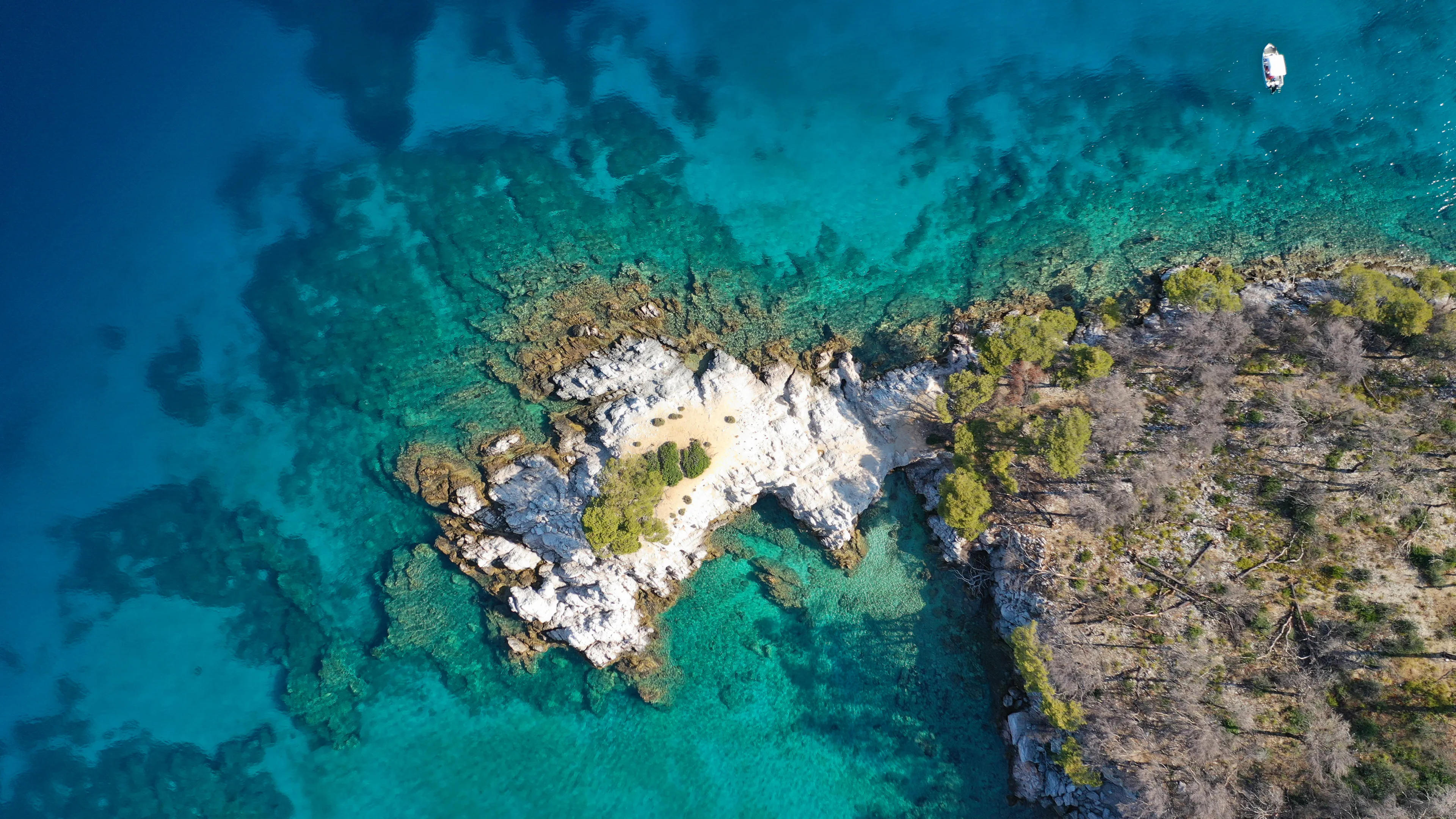 Aerial drone photo of famous from Mamma Mia movie Three pine cape Amarantos a trully scenic place with crystal clear sea, Skopelos island, Sporades, Greece