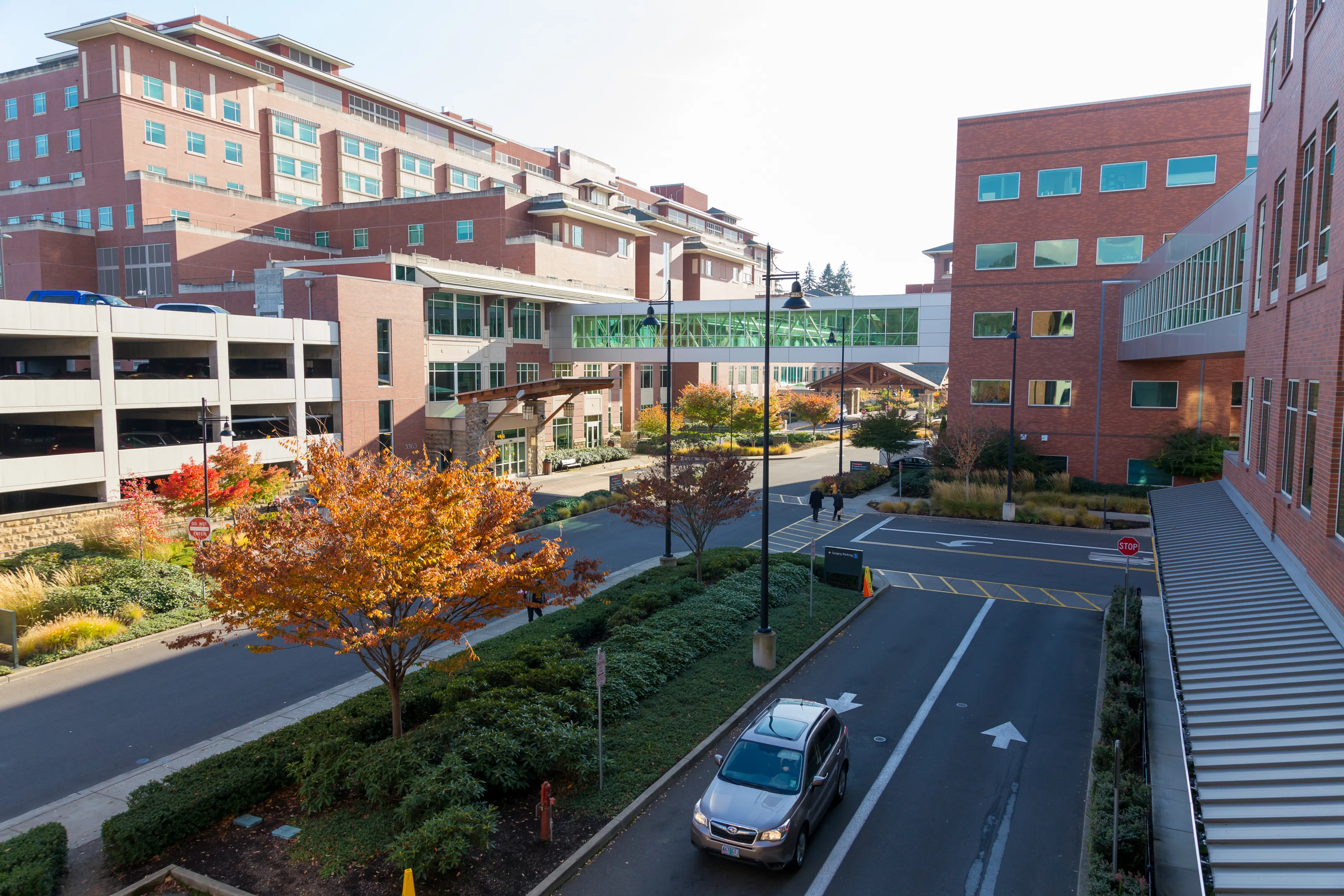  Best Springfield hotels. Cheap hotels in Springfield, Oregon, United States