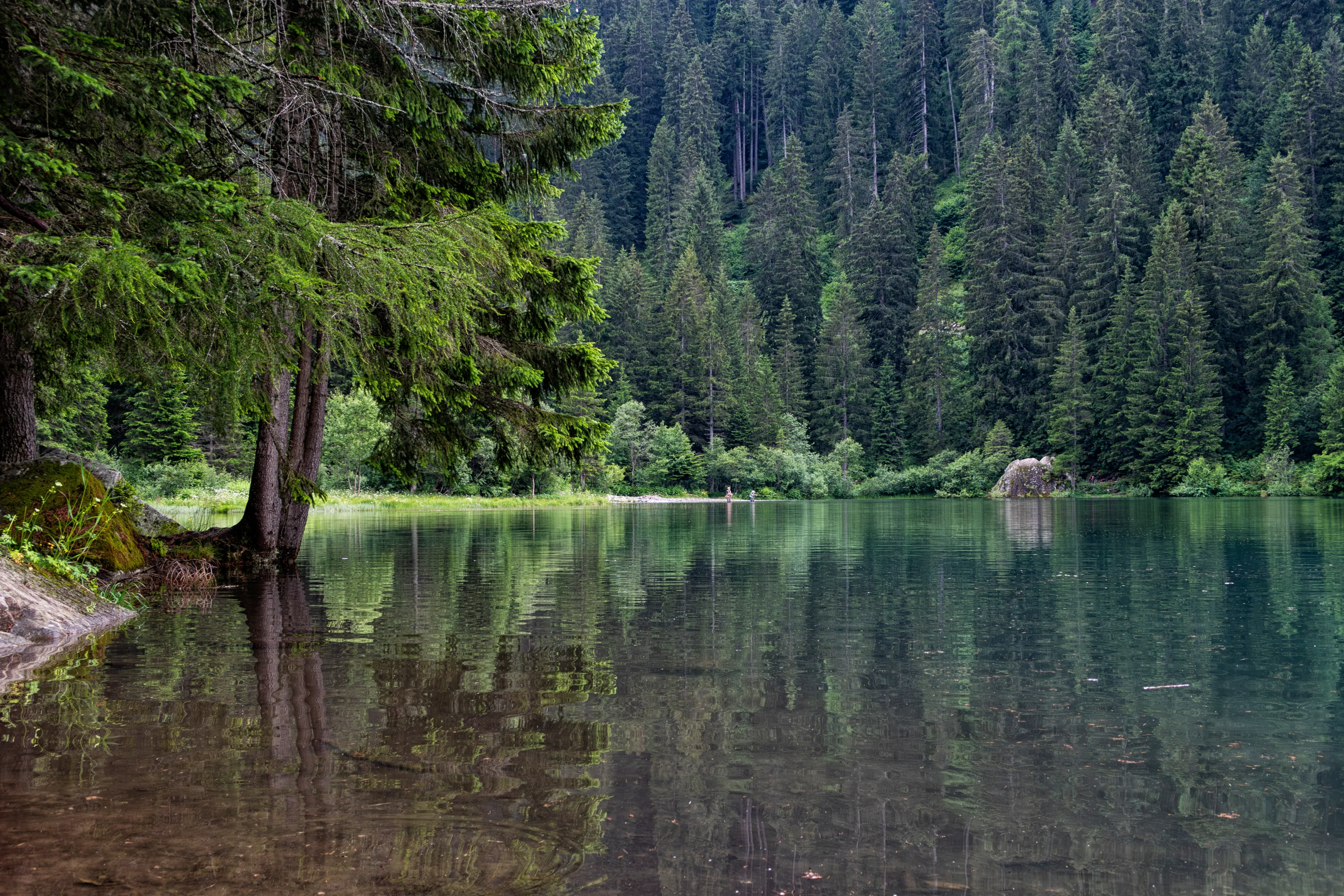 Alpine lake in Trentino Alto Adige alps