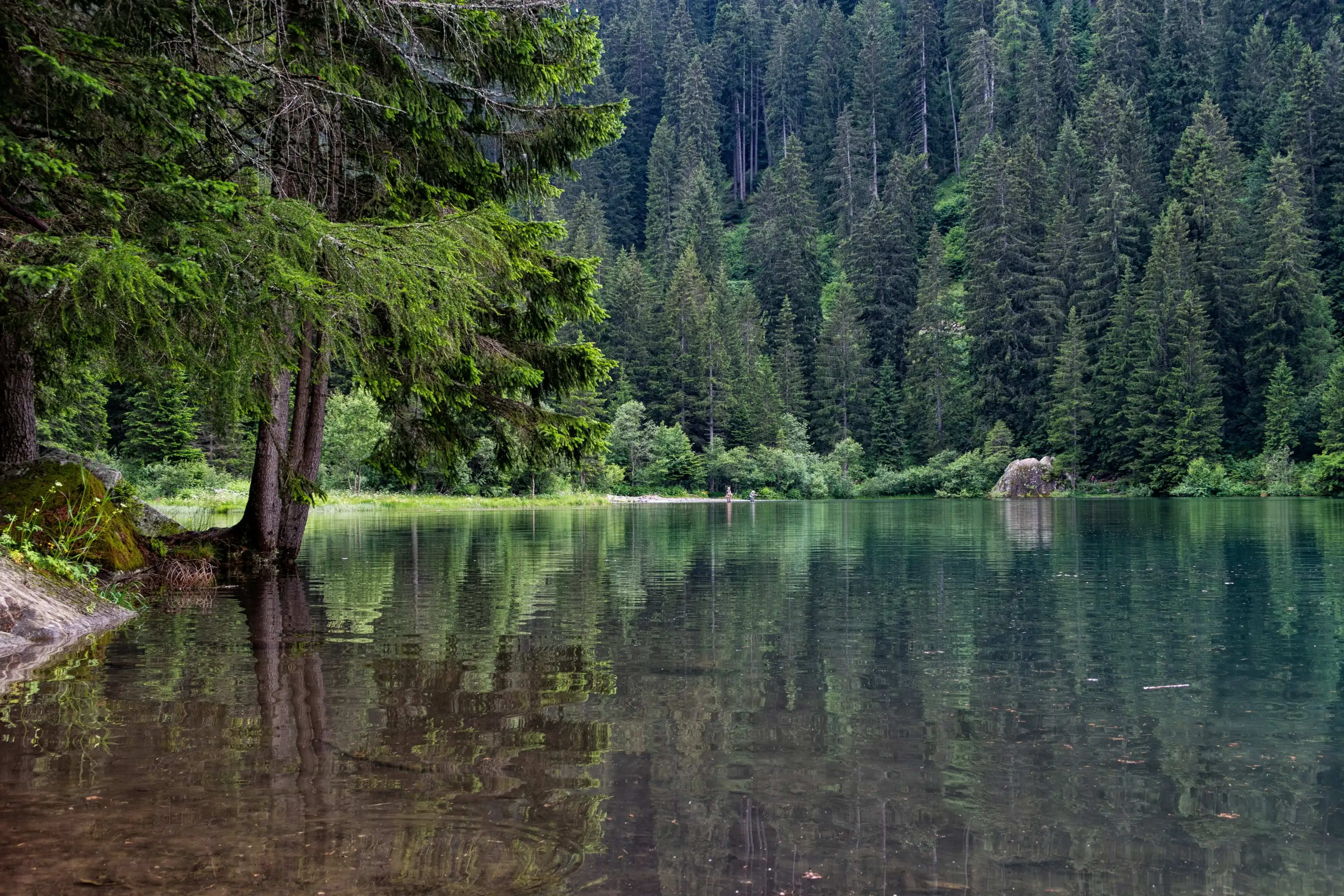 Alpine lake in Trentino Alto Adige alps Alpine lake in Trentino Alto Adige alps