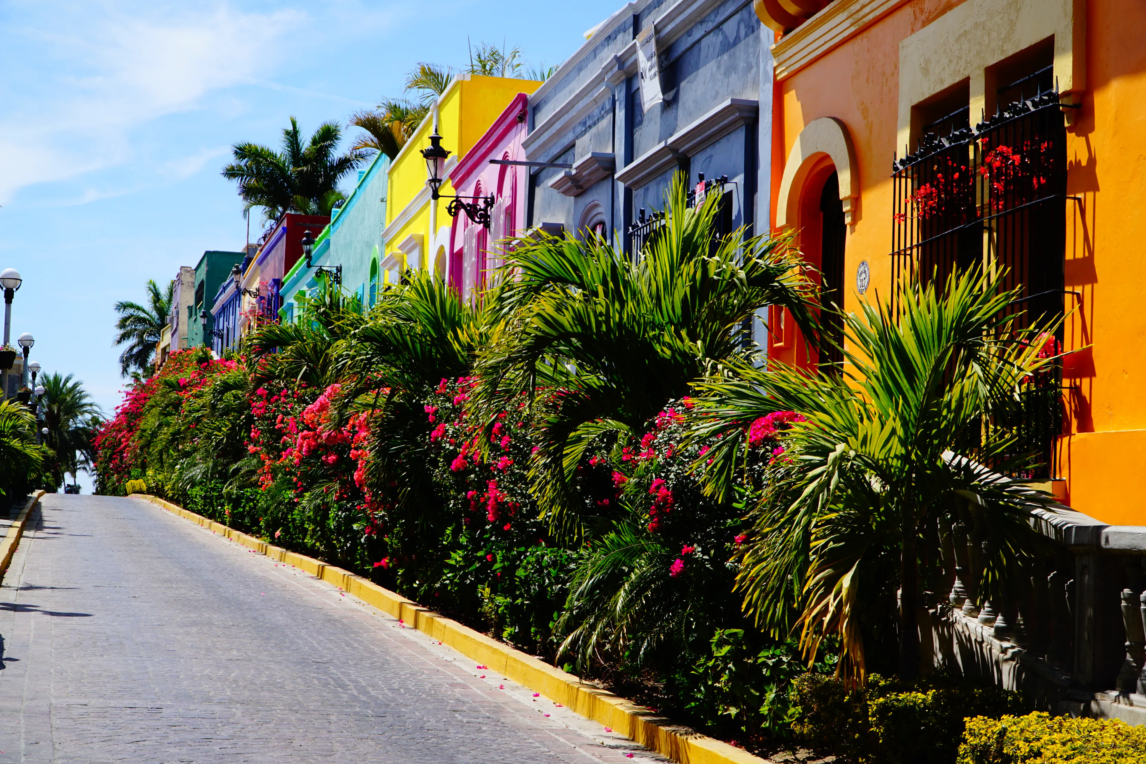 Colorful street in Mazatlan, Sinaloa - Mexico