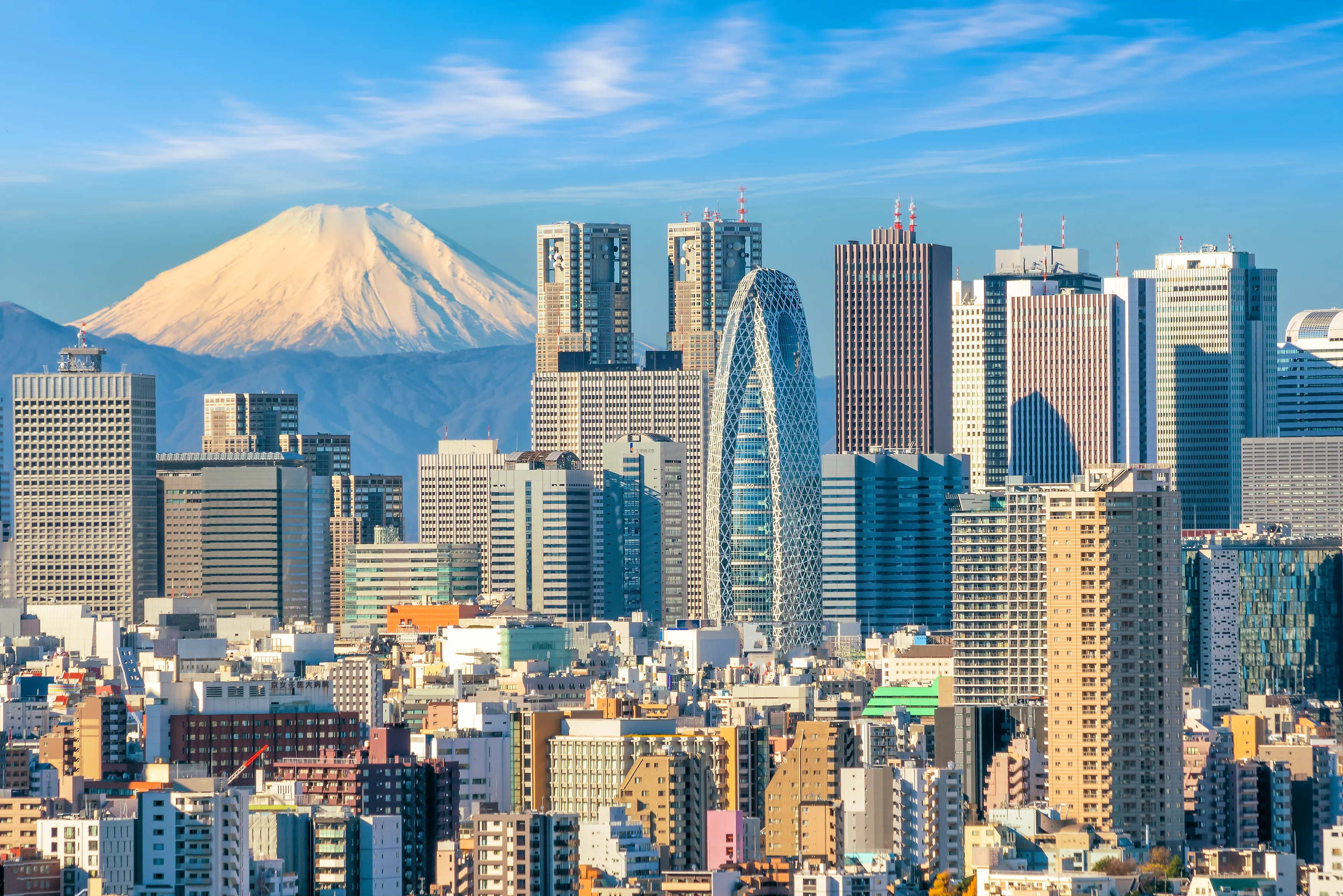 Tokyo skyline and Mountain fuji in Japan