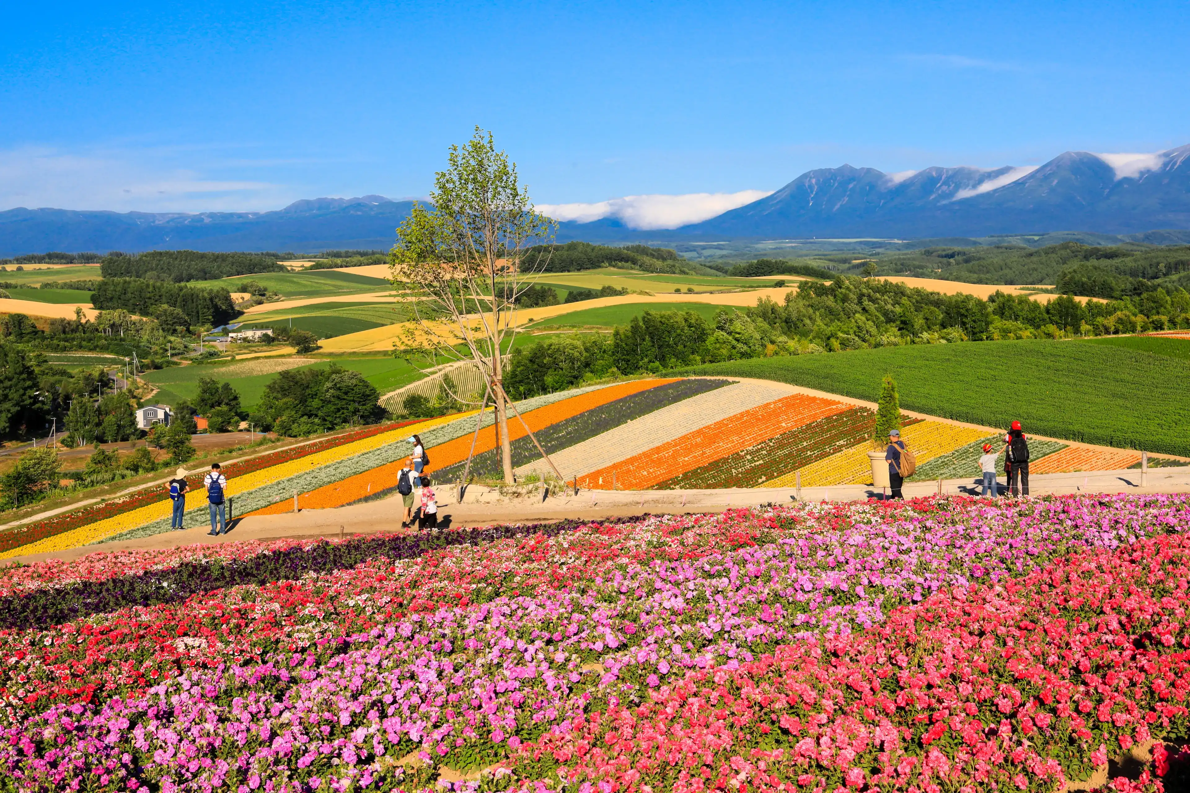 Hokkaido hotels. Best hotels in Hokkaido, Japan Hokkaido hotels. Best hotels in Hokkaido, Japan