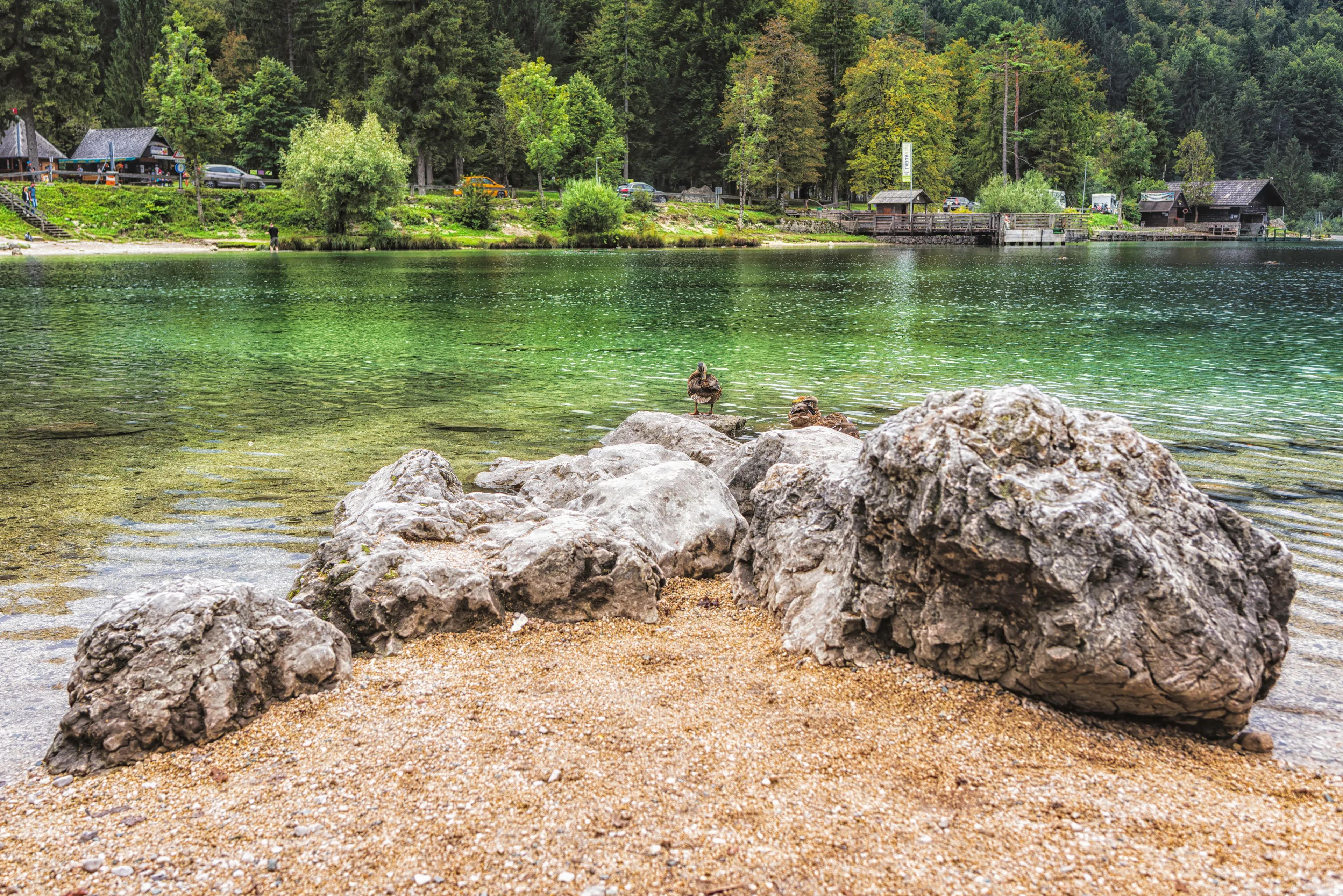  Best Bohinjska Bistrica hotels. Cheap hotels in Bohinjska Bistrica, Slovenia